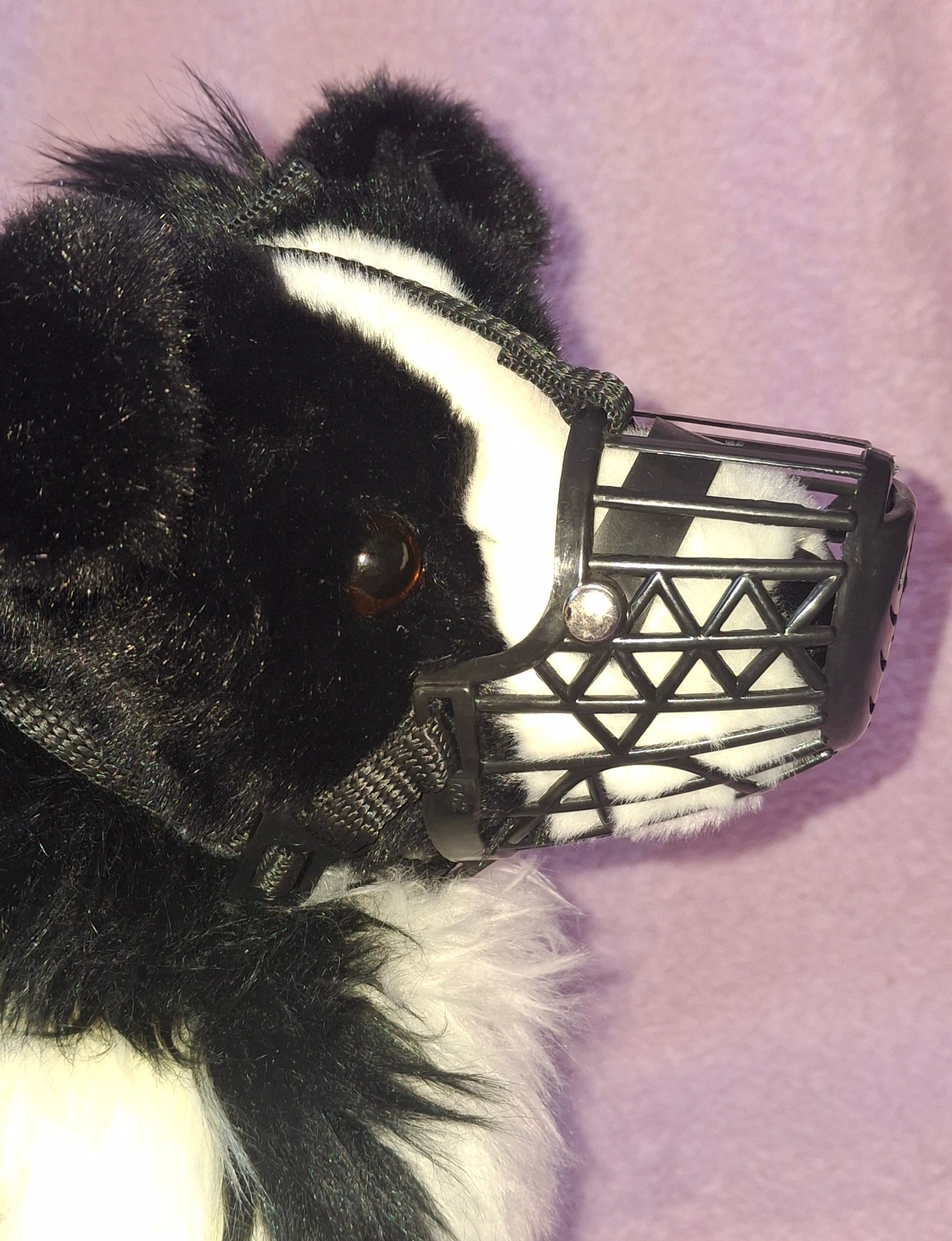 Muzzle – Beau's Furry Friends