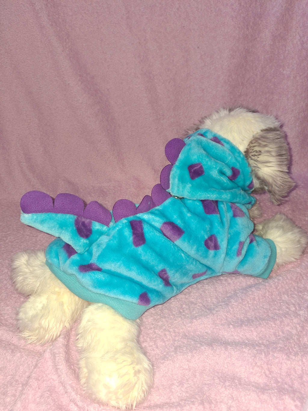 Dinosaur Costume