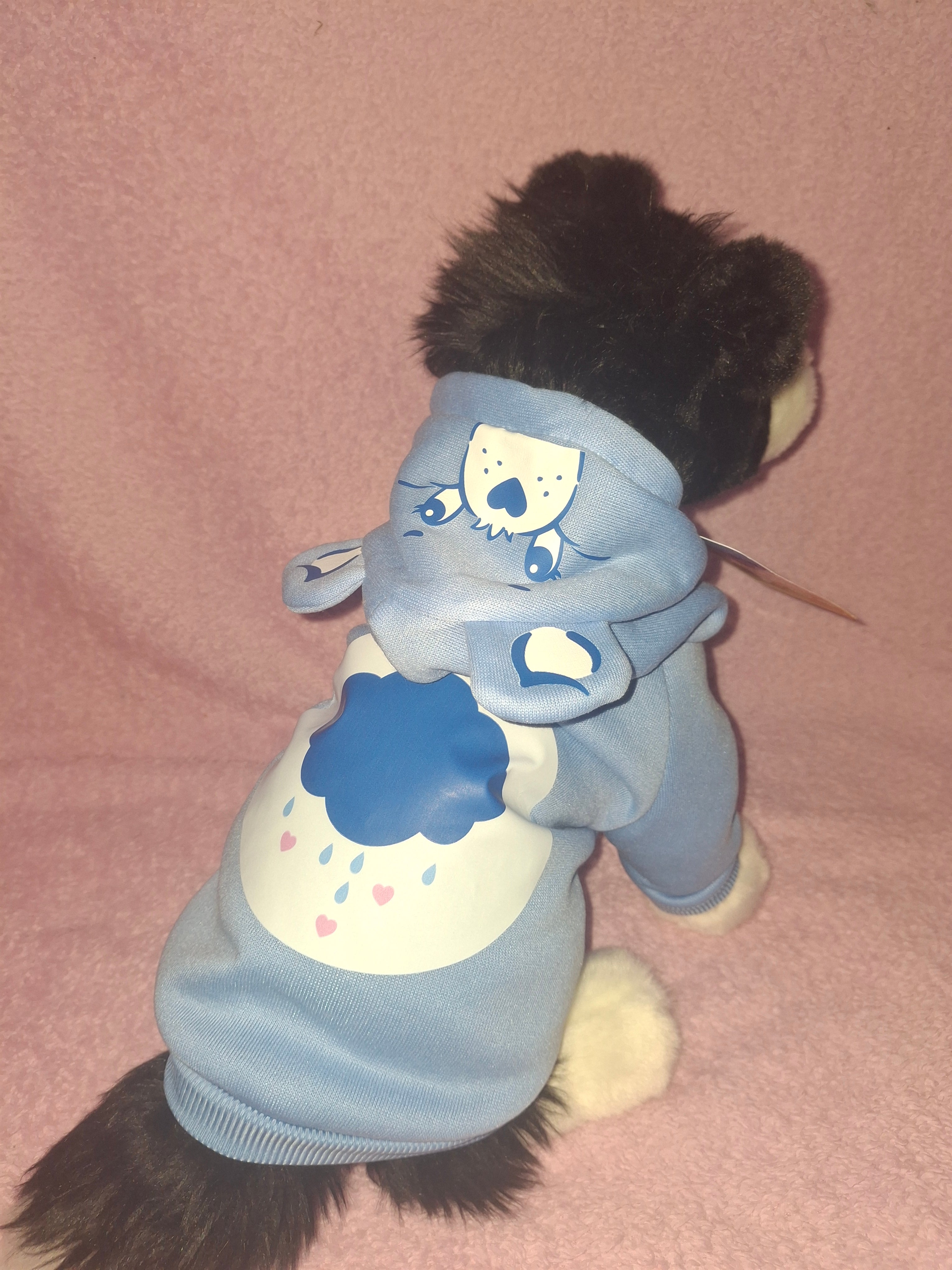 Care Bear Hoodie