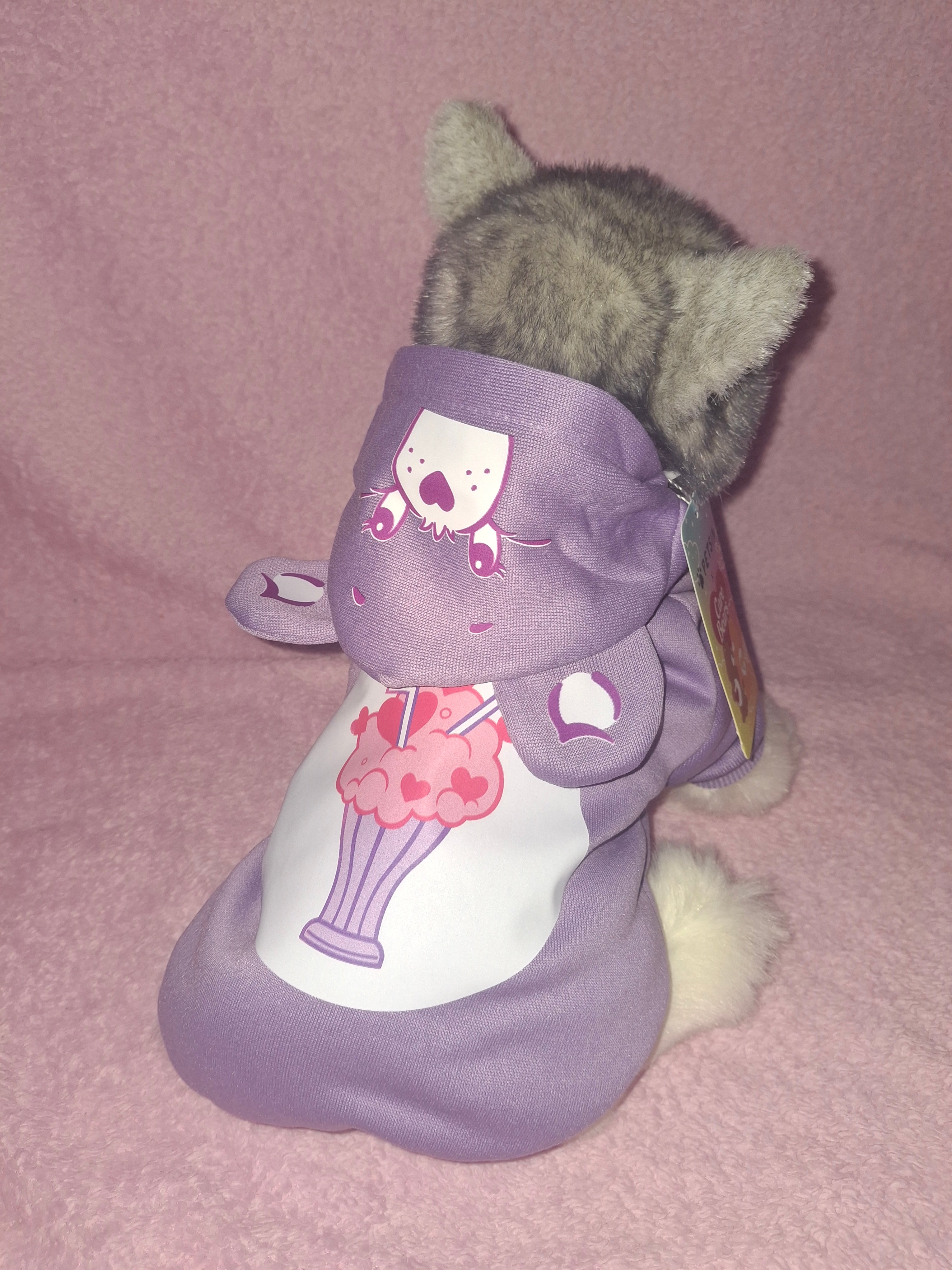 Care Bear Hoodie