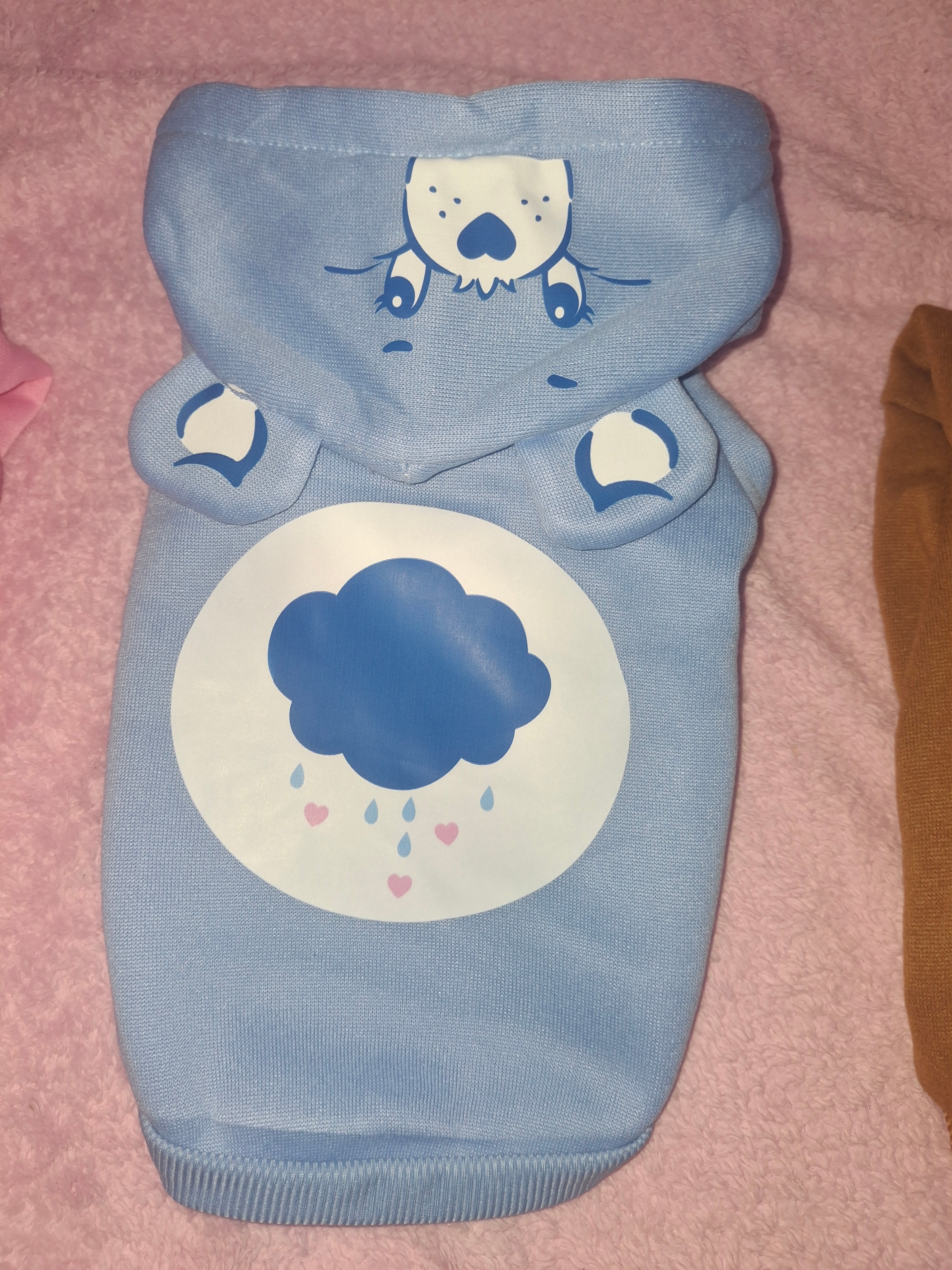 Care Bear Hoodie