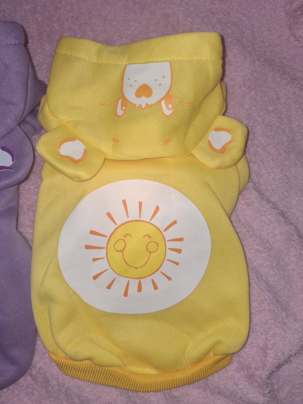 Care Bear Hoodie