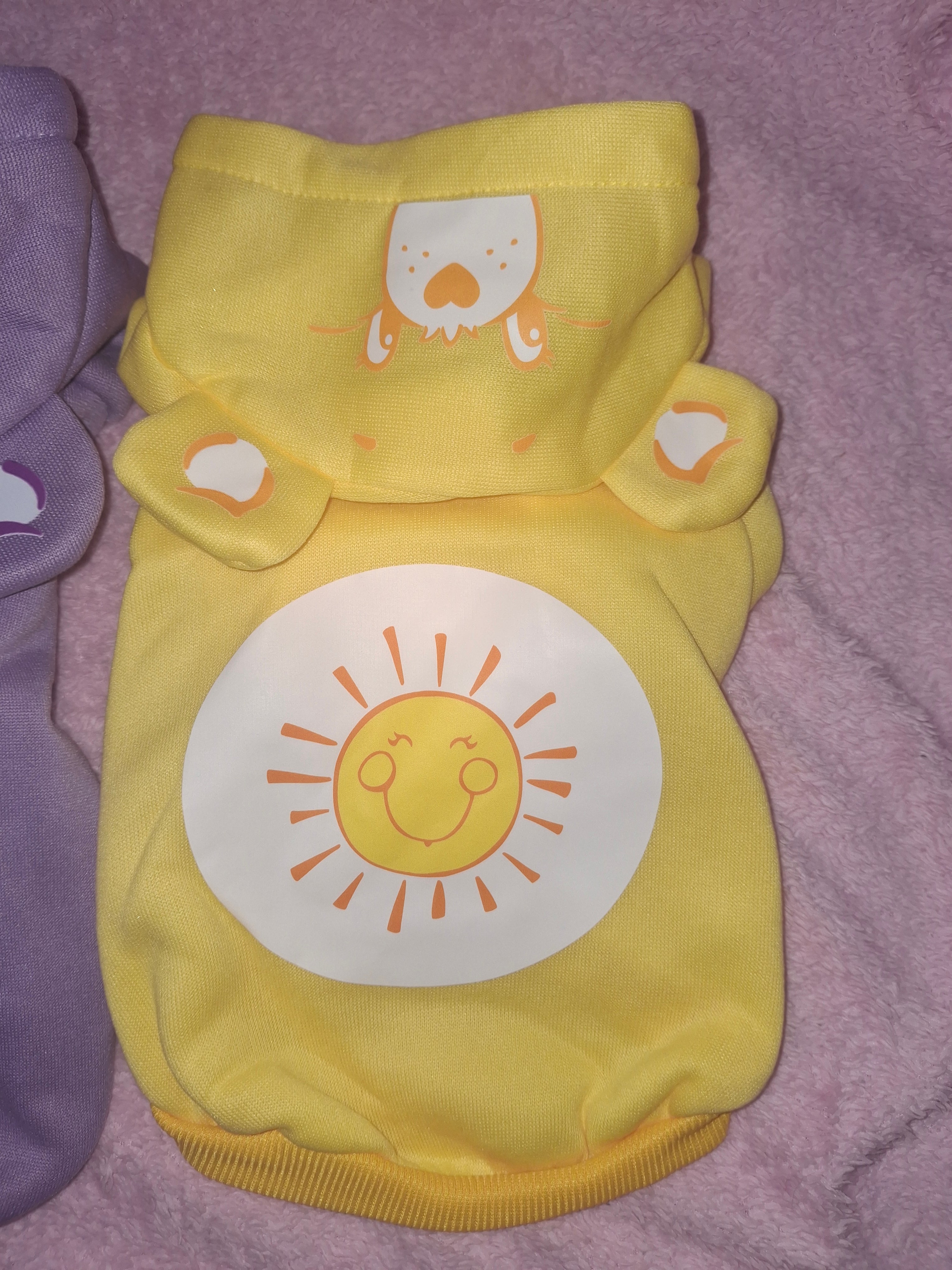 Care Bear Hoodie