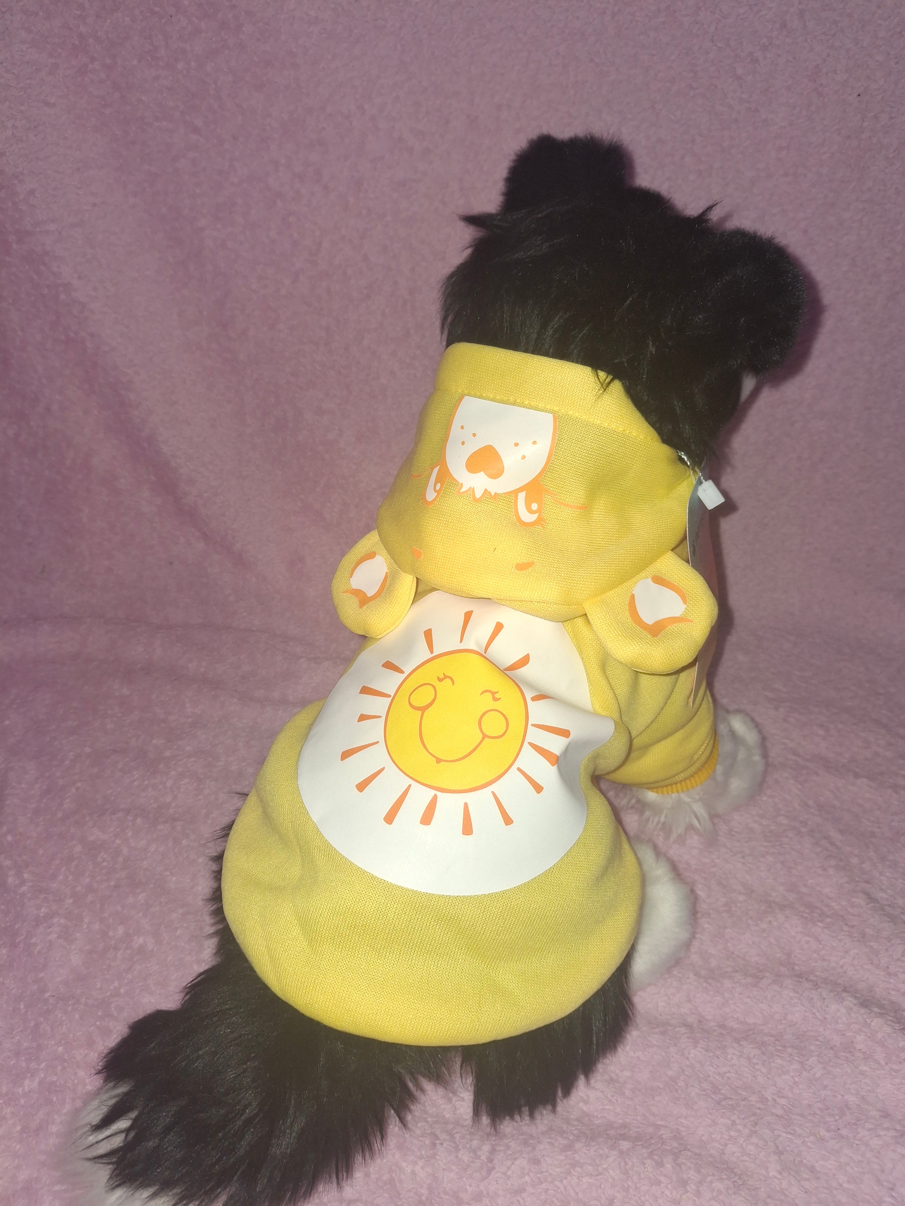 Care Bear Hoodie