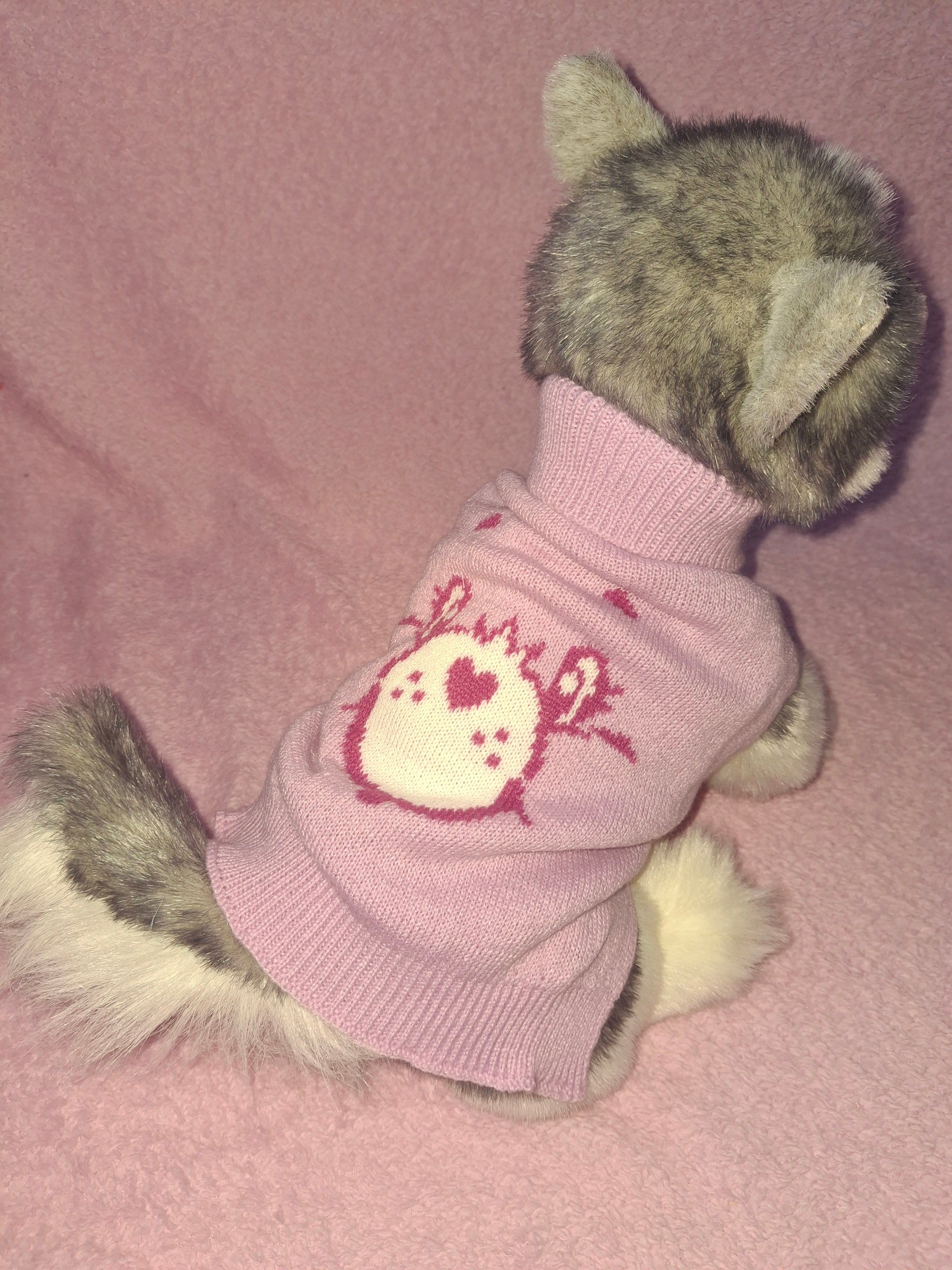 Care bear vest