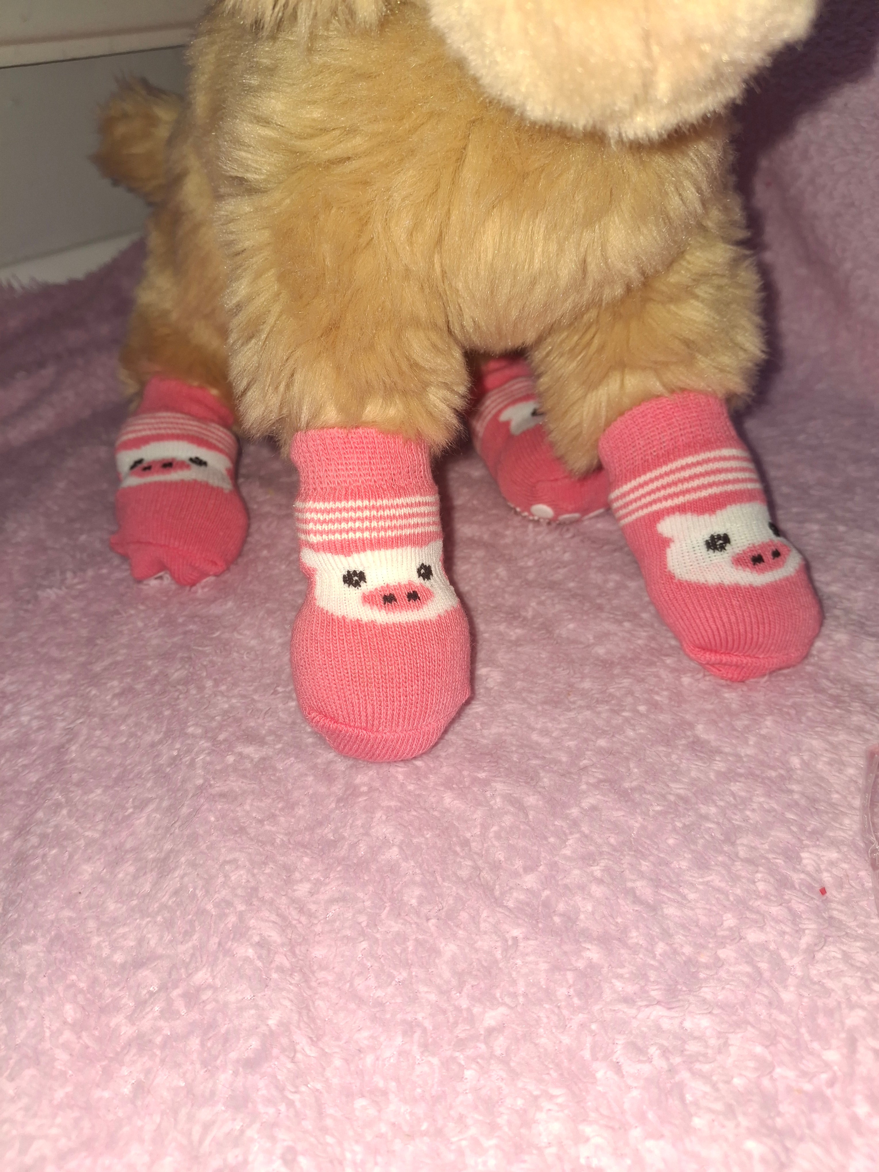 Animal Socks