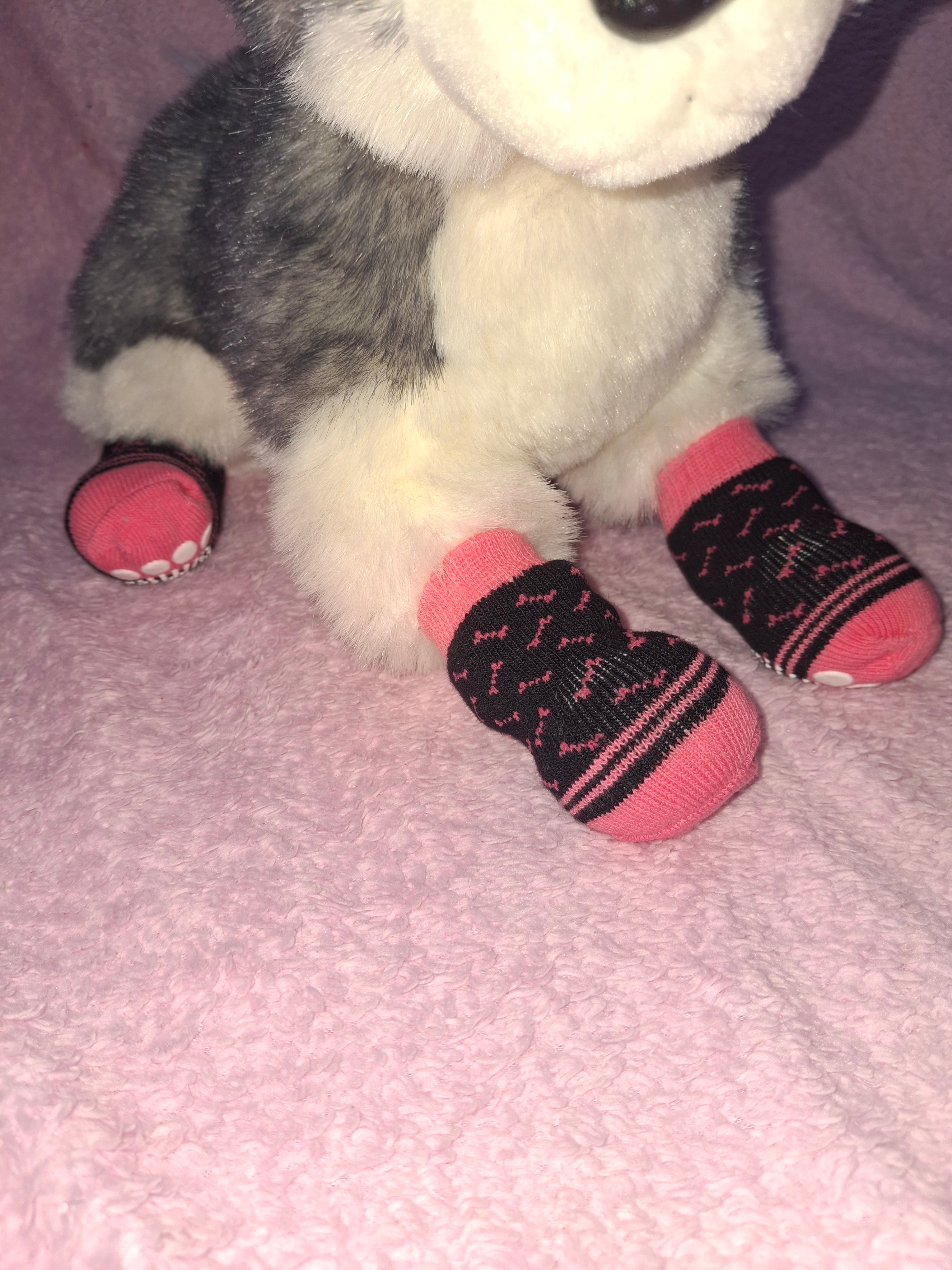 Socks
