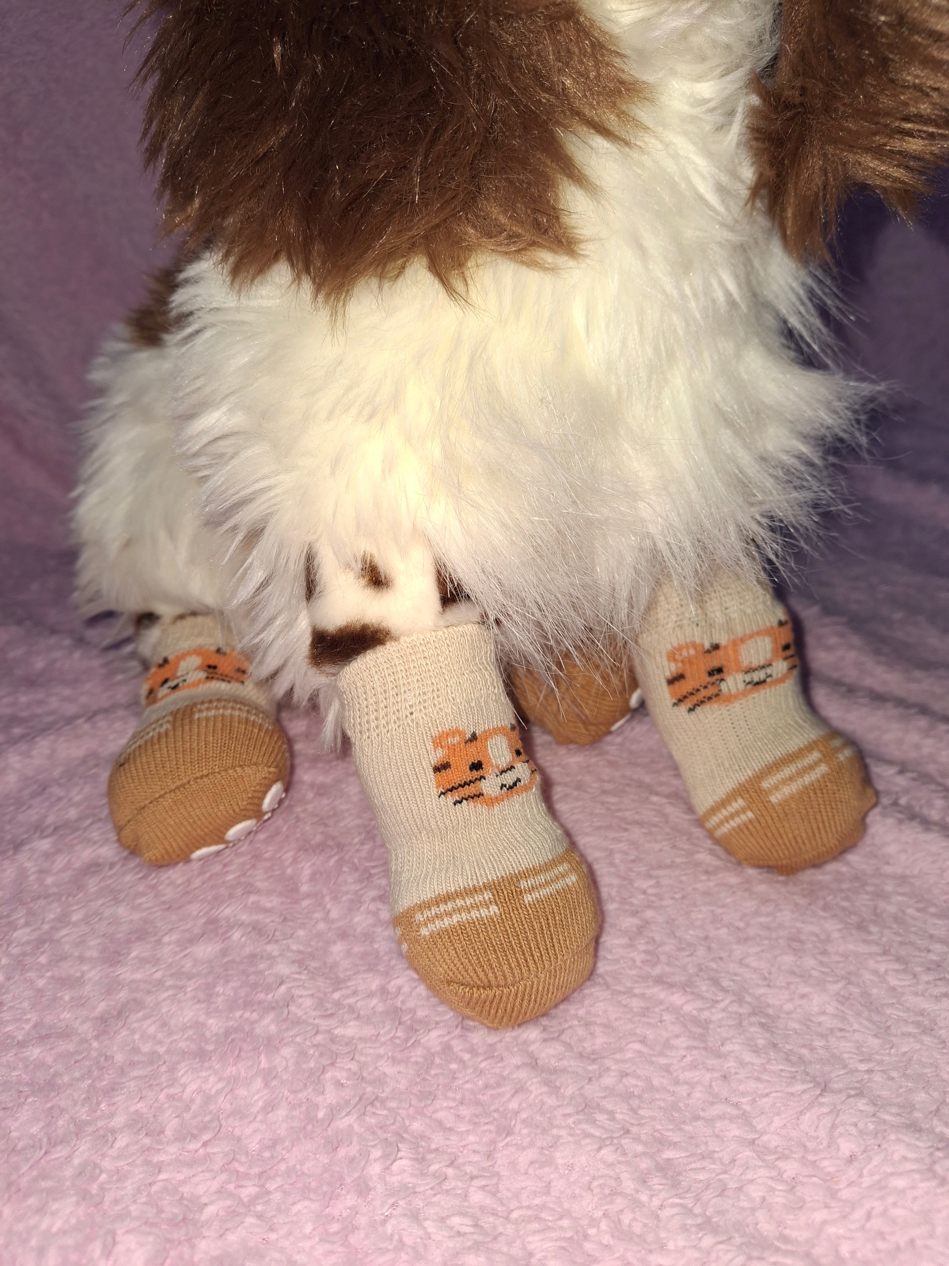 Animal Socks