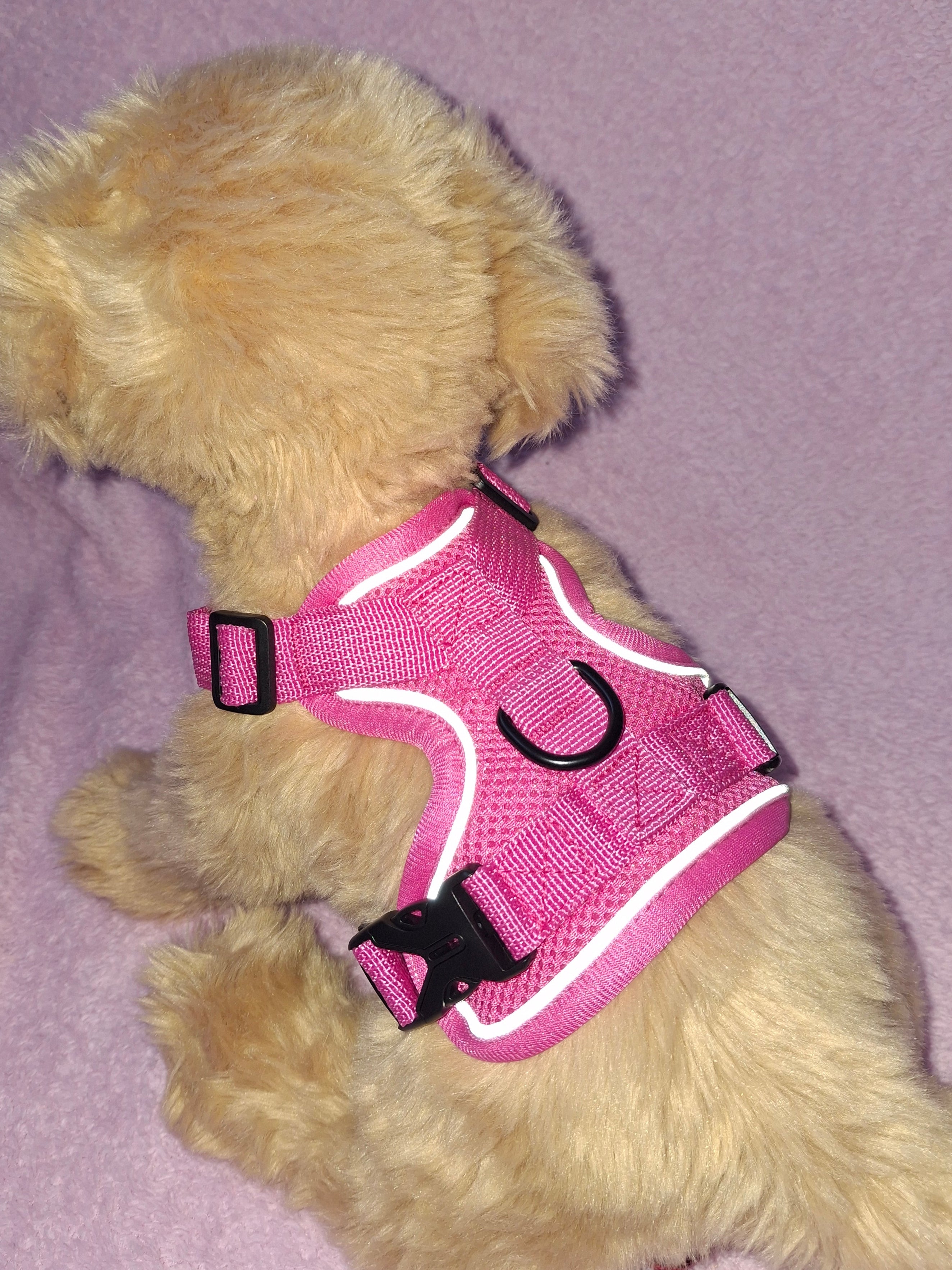 Slip On Harness