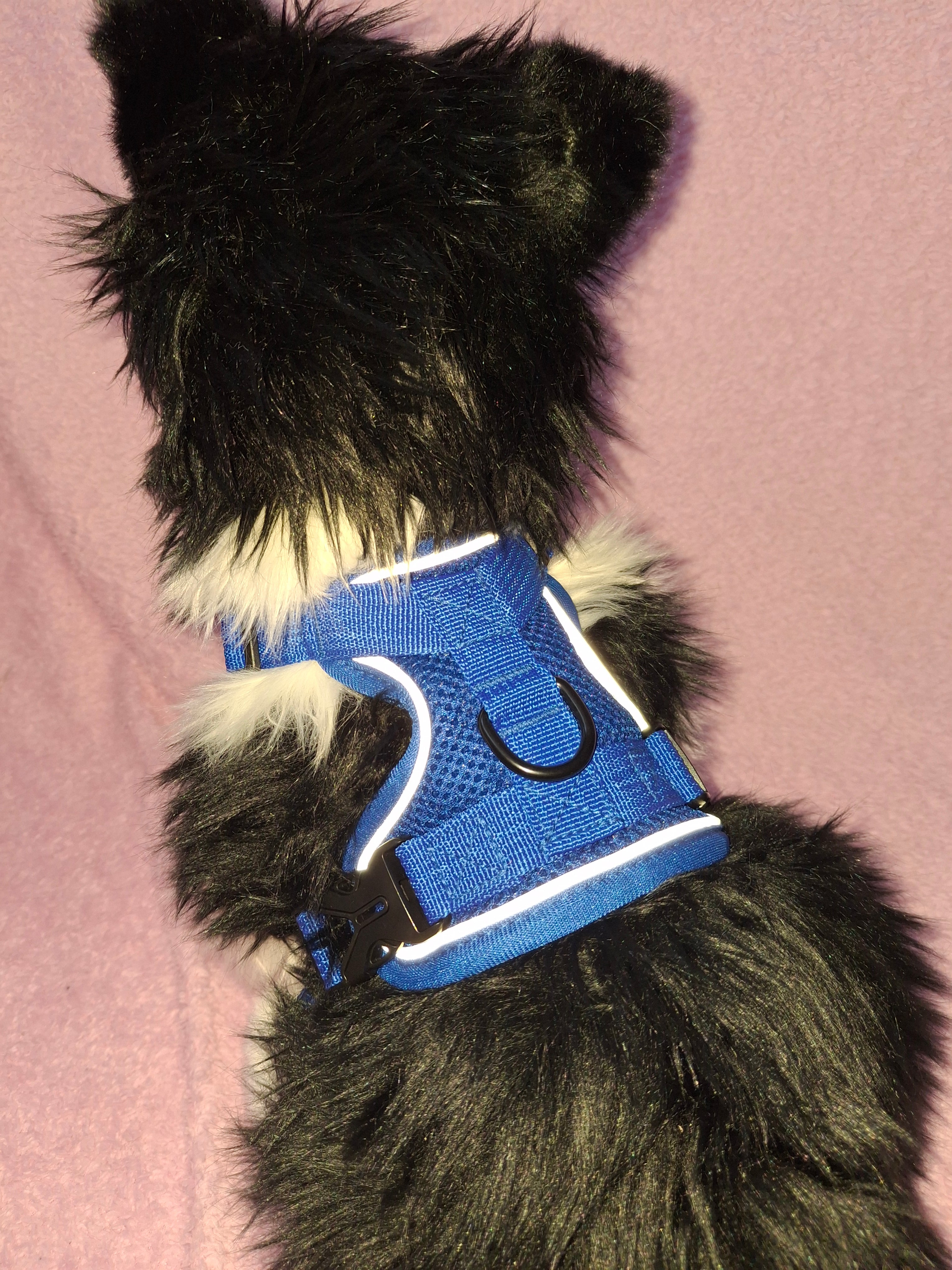 Slip On Harness