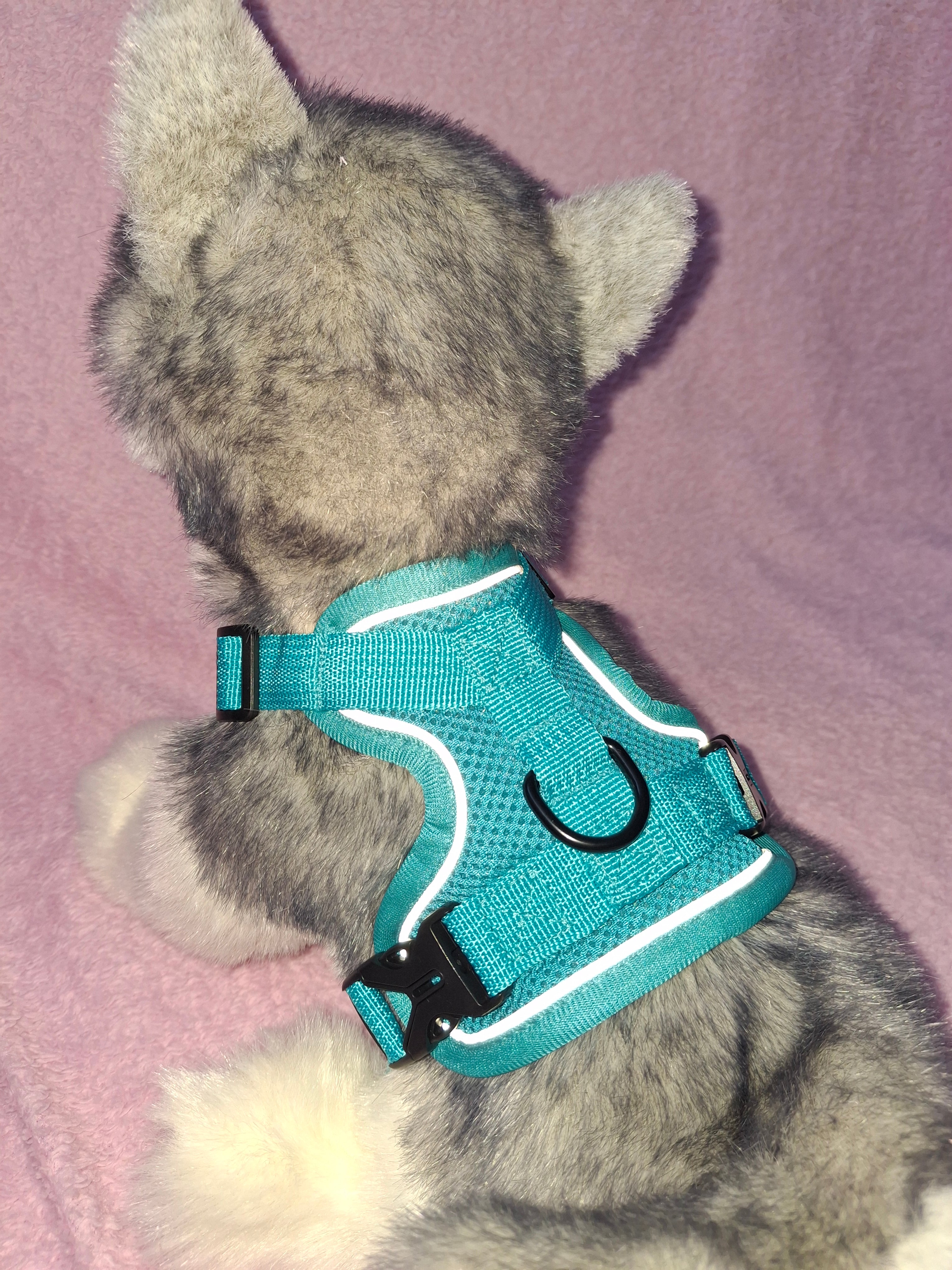 Slip On Harness