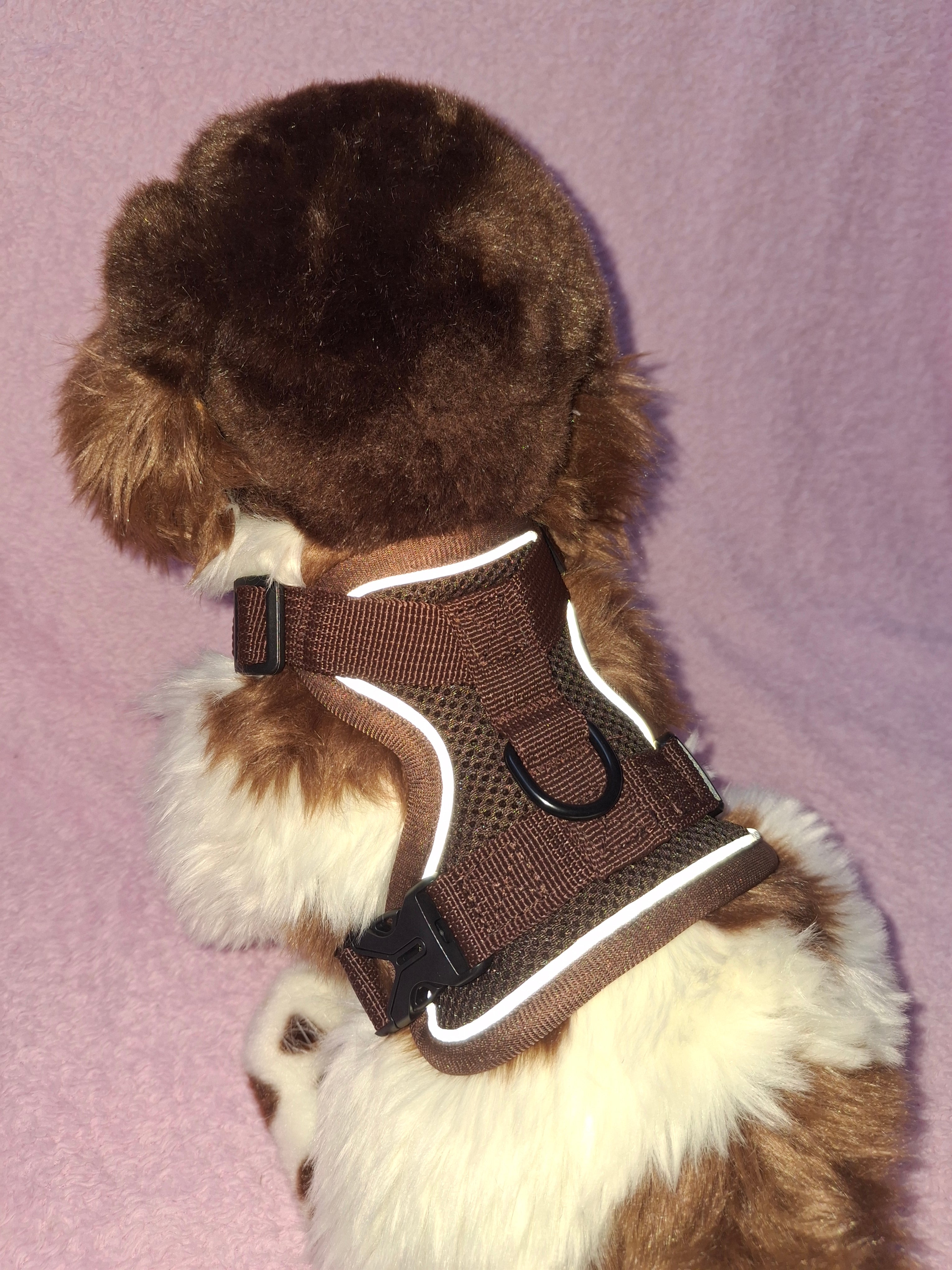 Slip On Harness