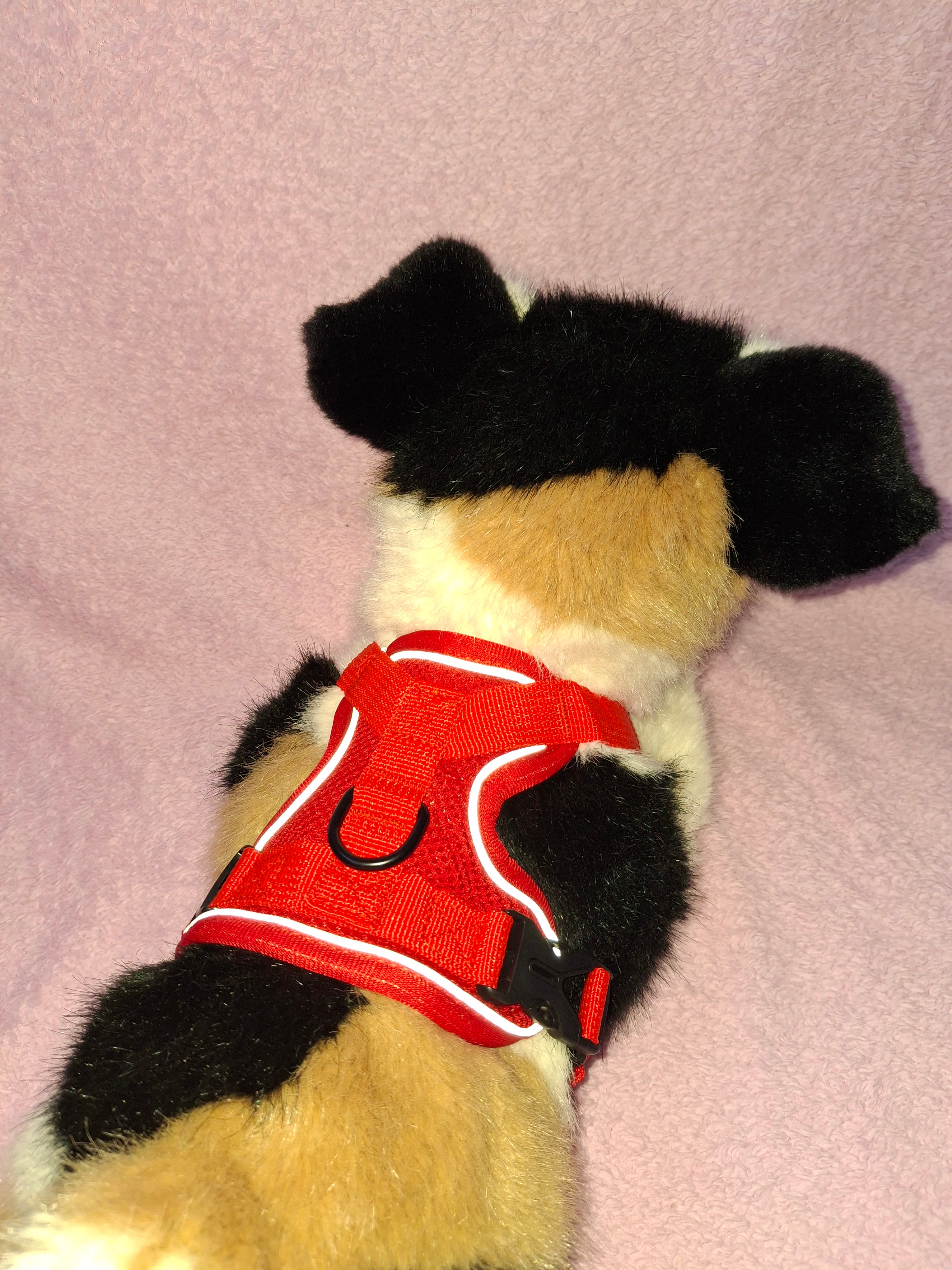 Slip On Harness