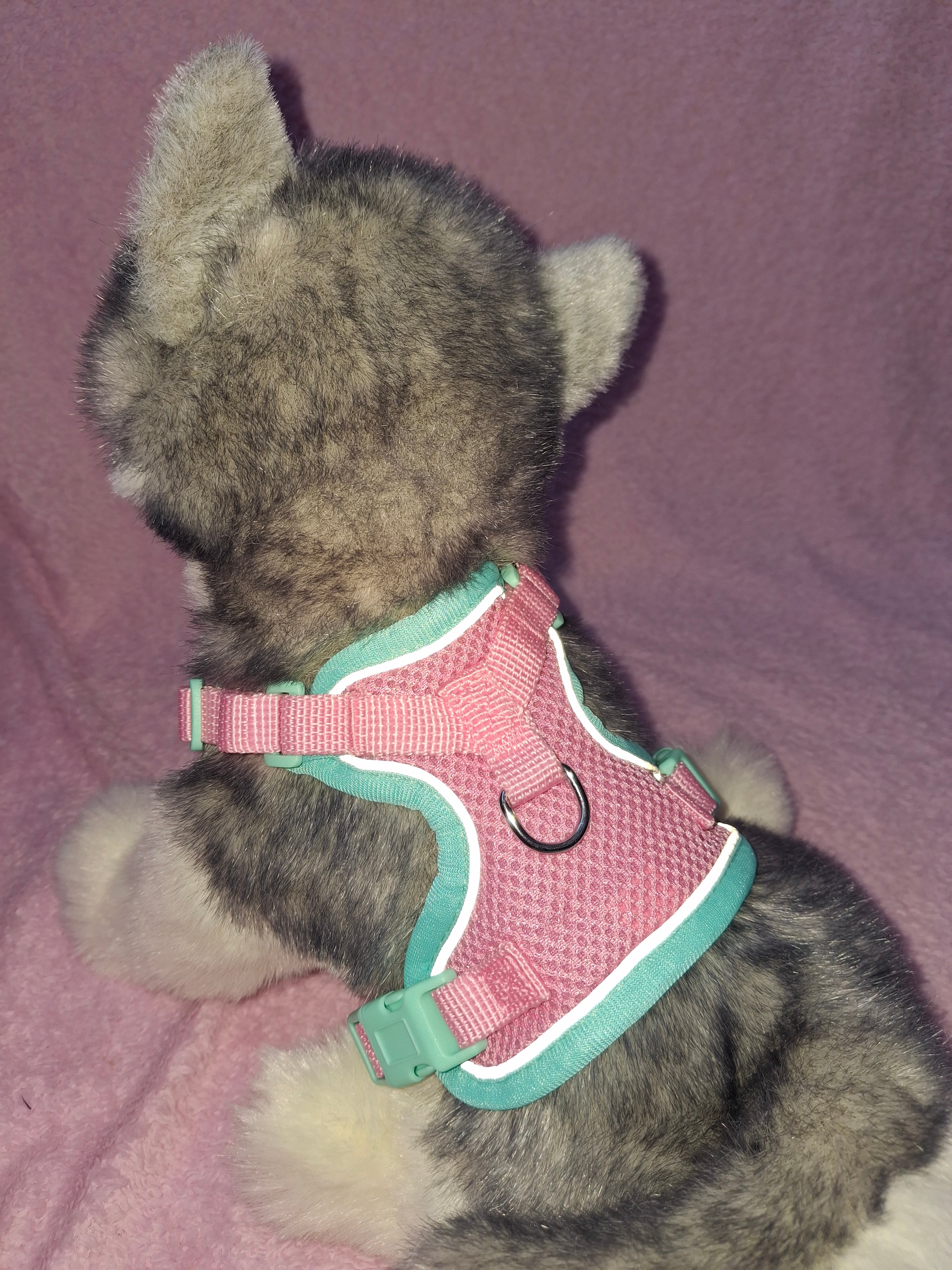 Multicolour Slip On Harness