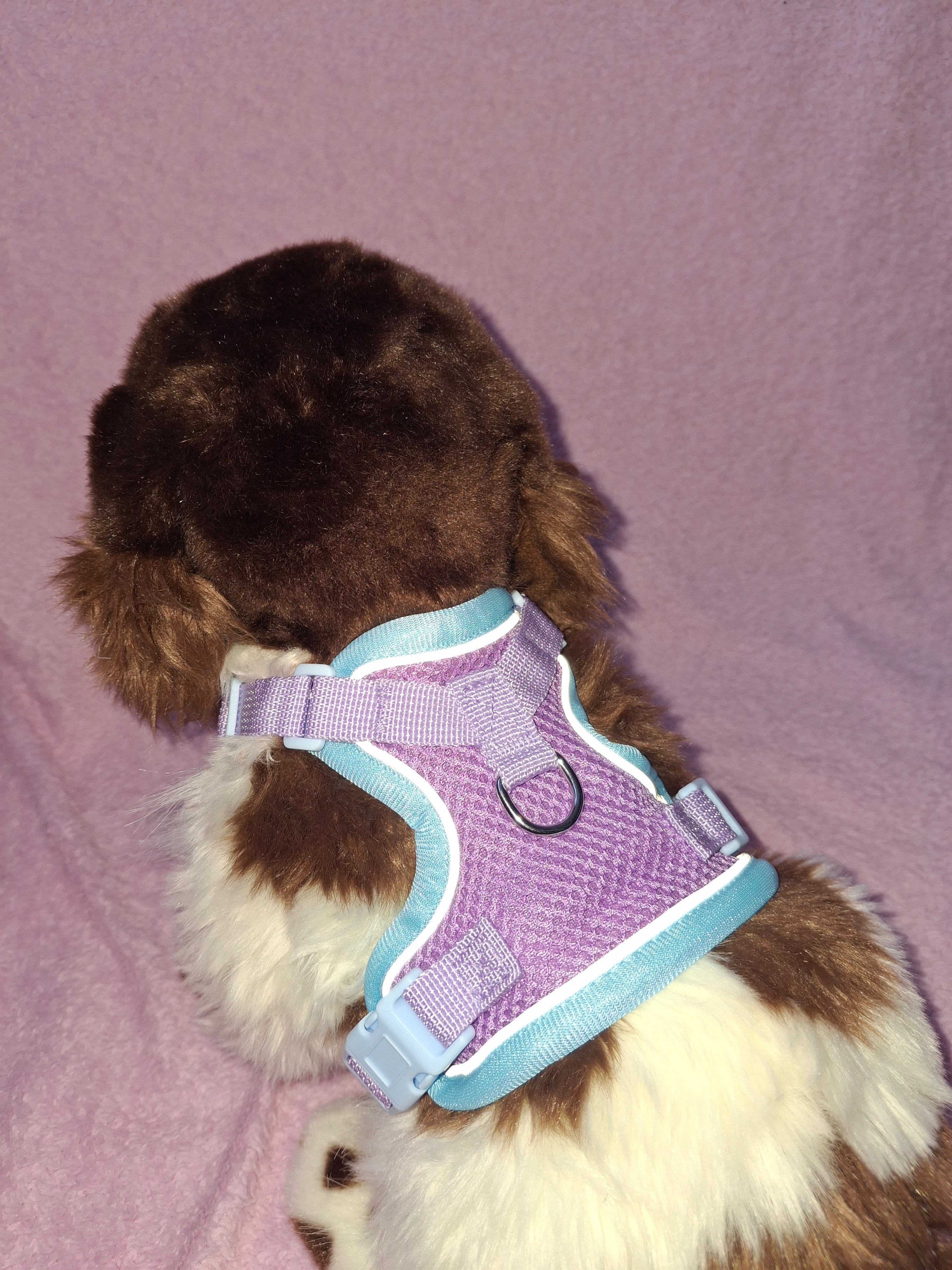 Multicolour Slip On Harness