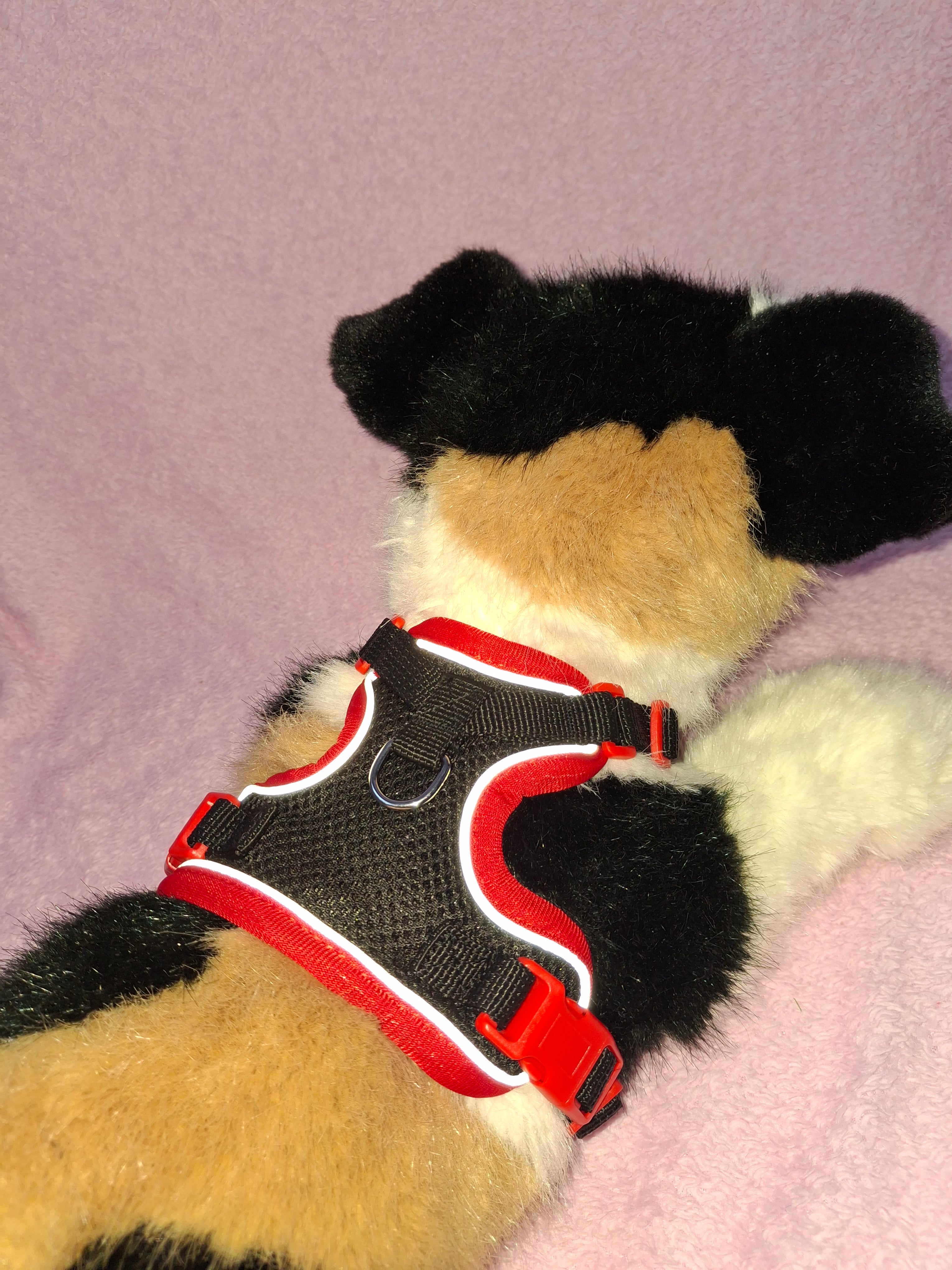 Multicolour Slip On Harness