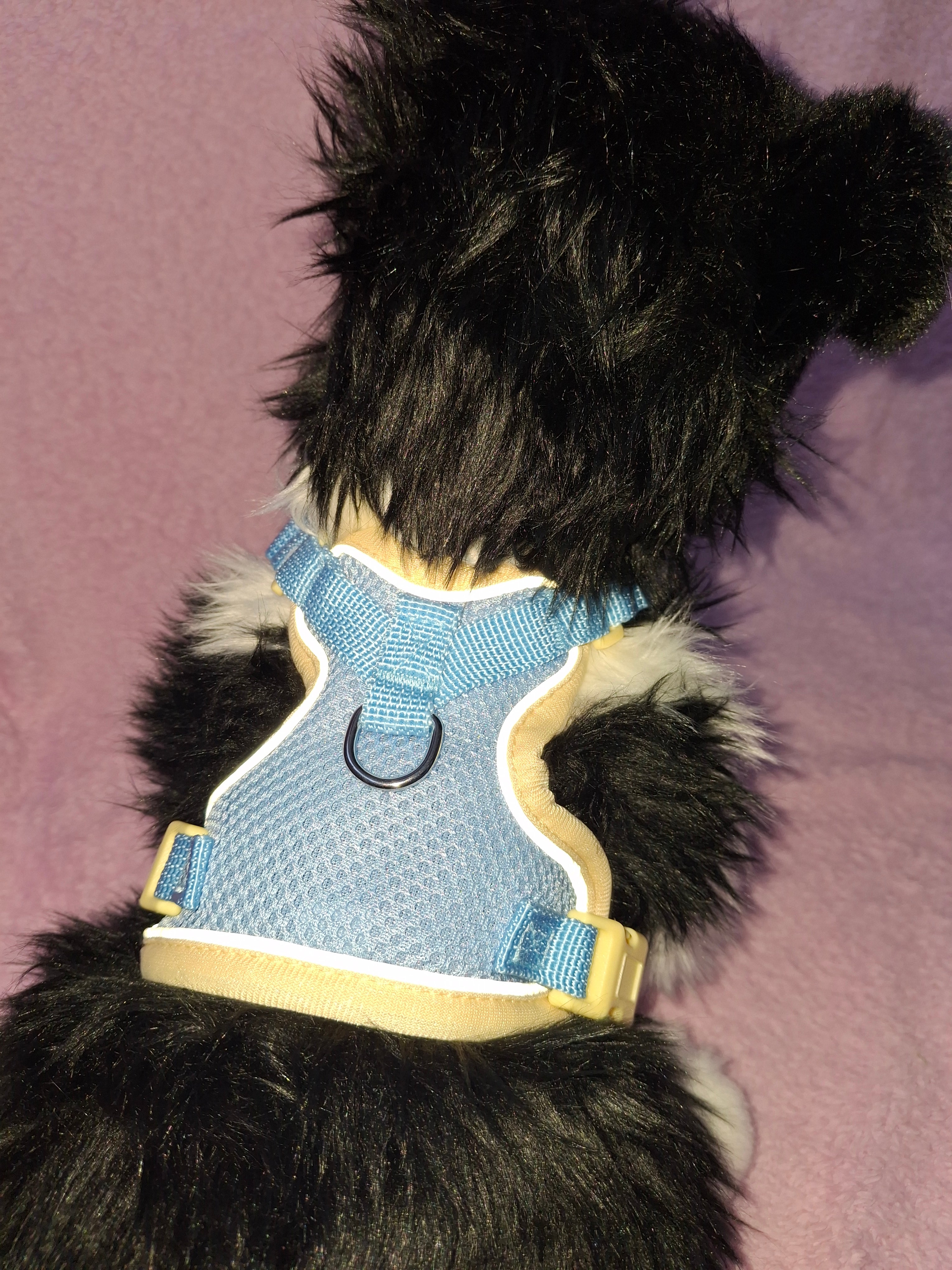 Multicolour Slip On Harness