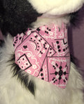 Bandana Collar
