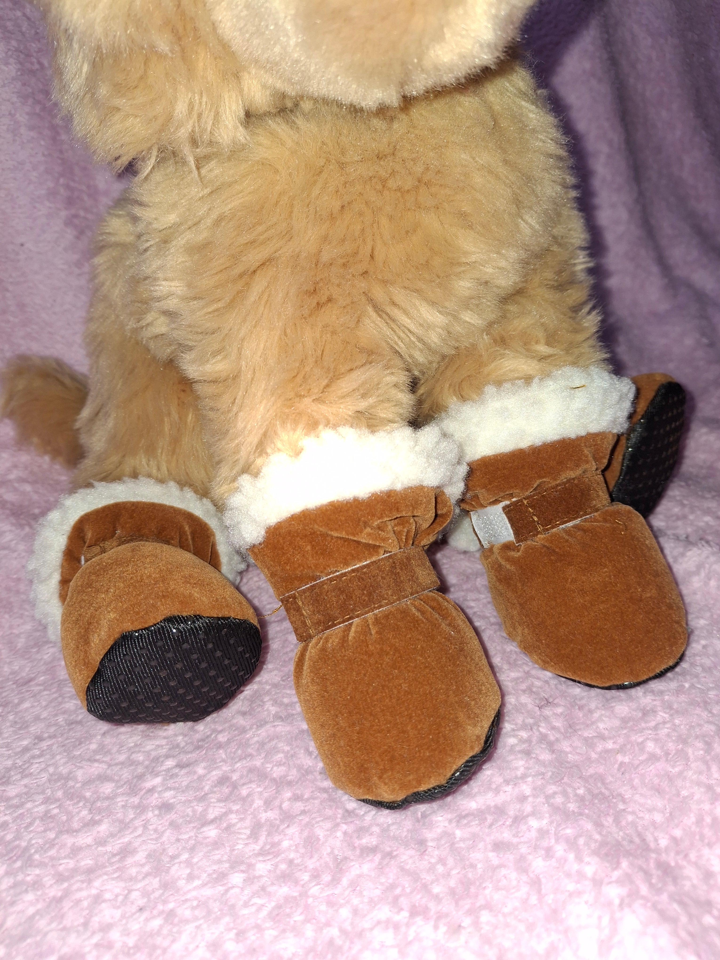 Winter Boots