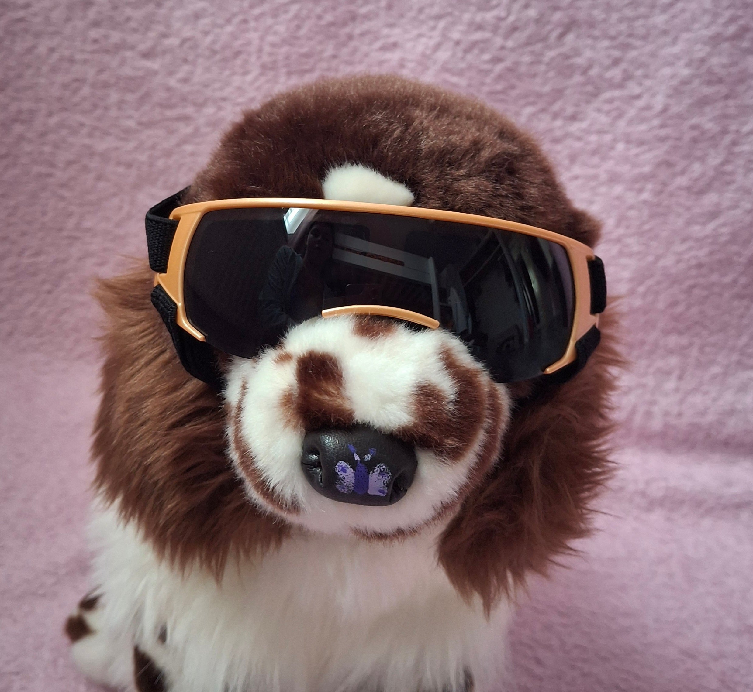 Goggles