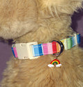 Dog Collar Variants