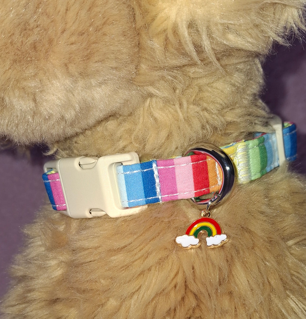 Dog Collar Variants