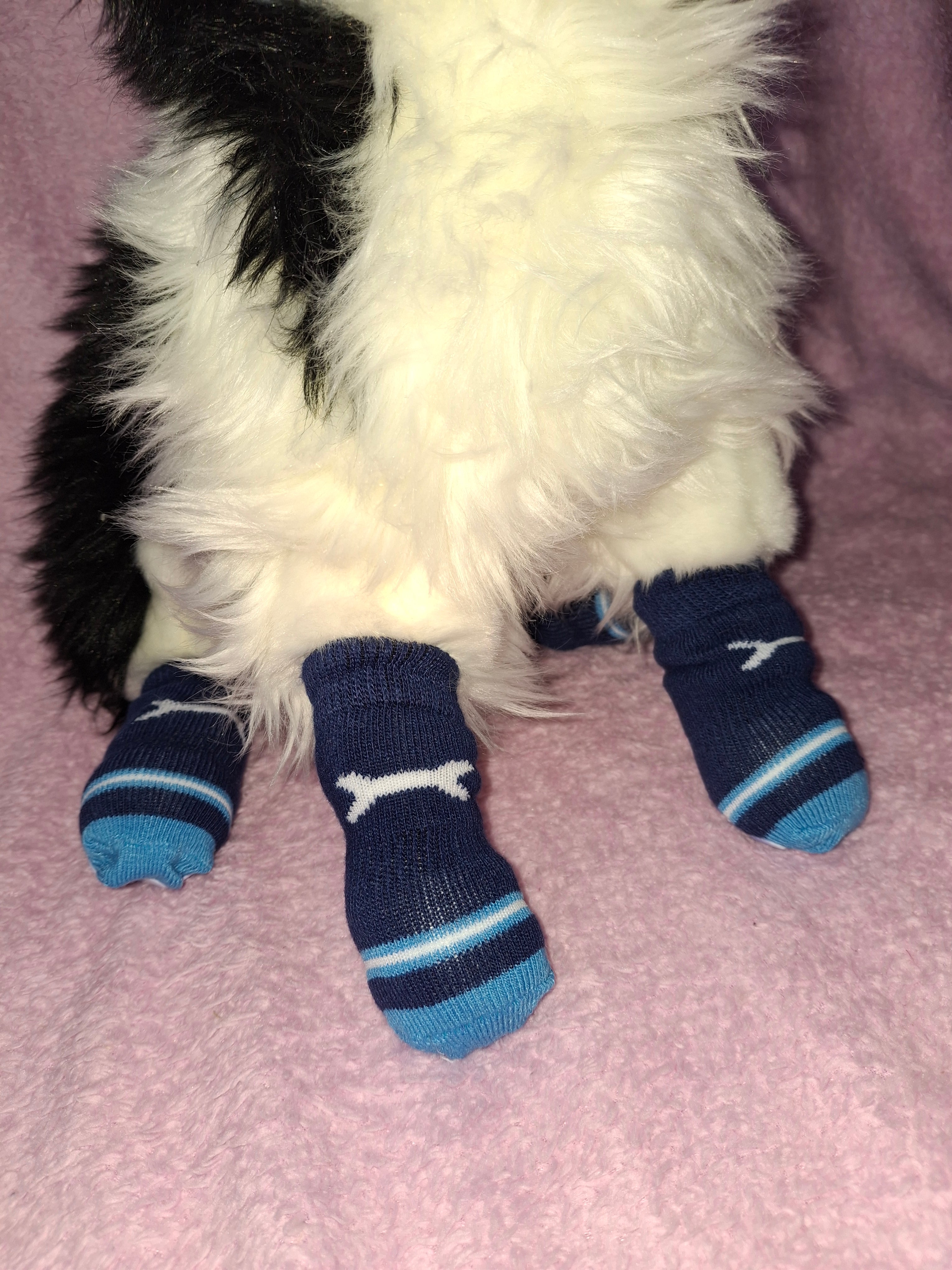 Socks