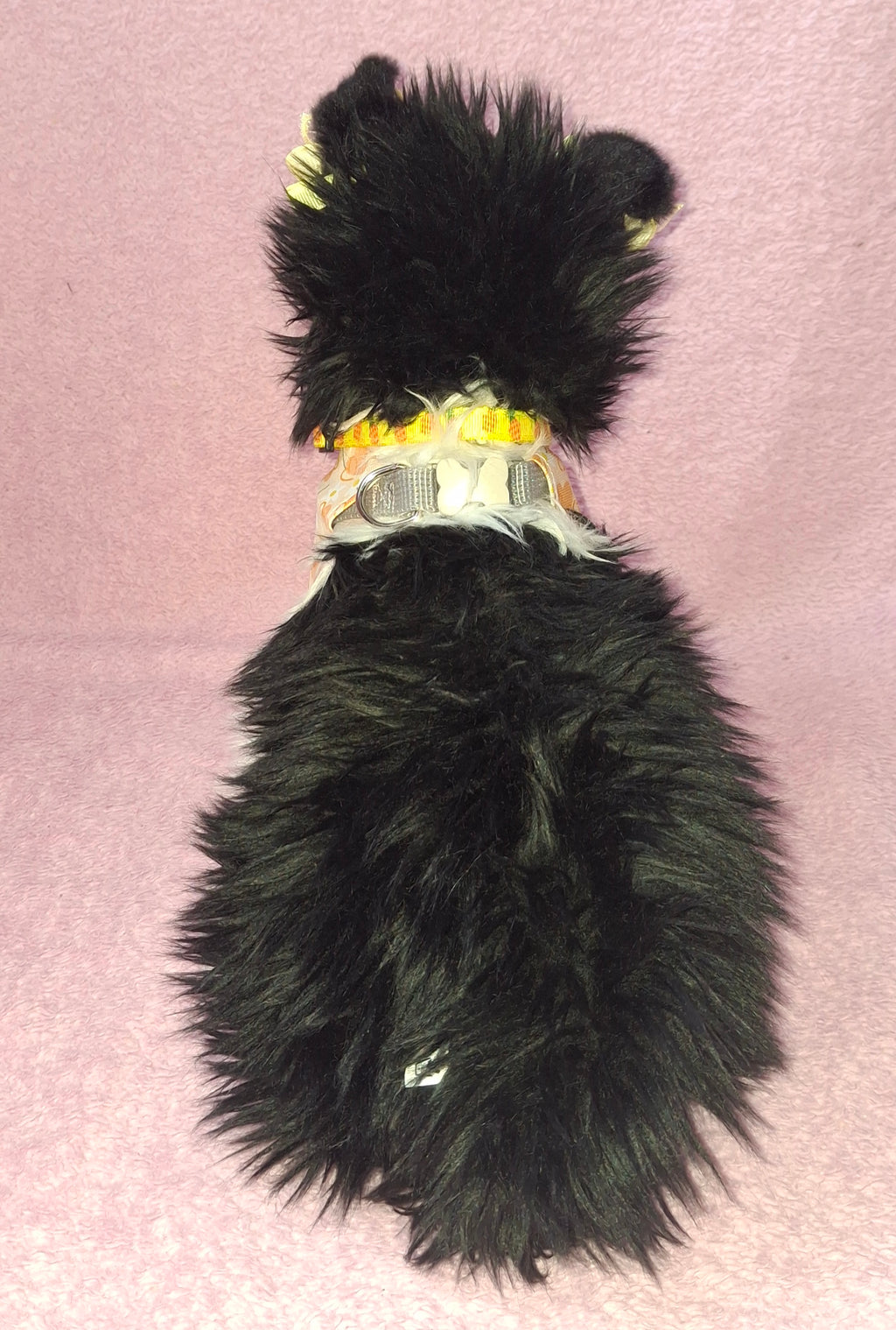 Custard Plush (Chase Collie)
