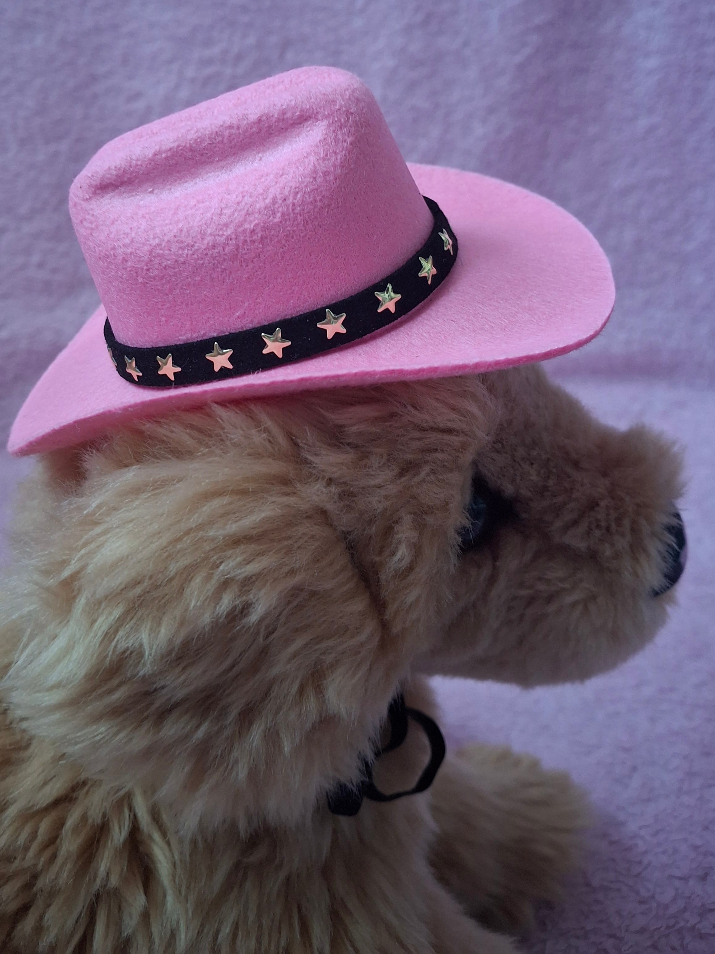 Cowboy Hat