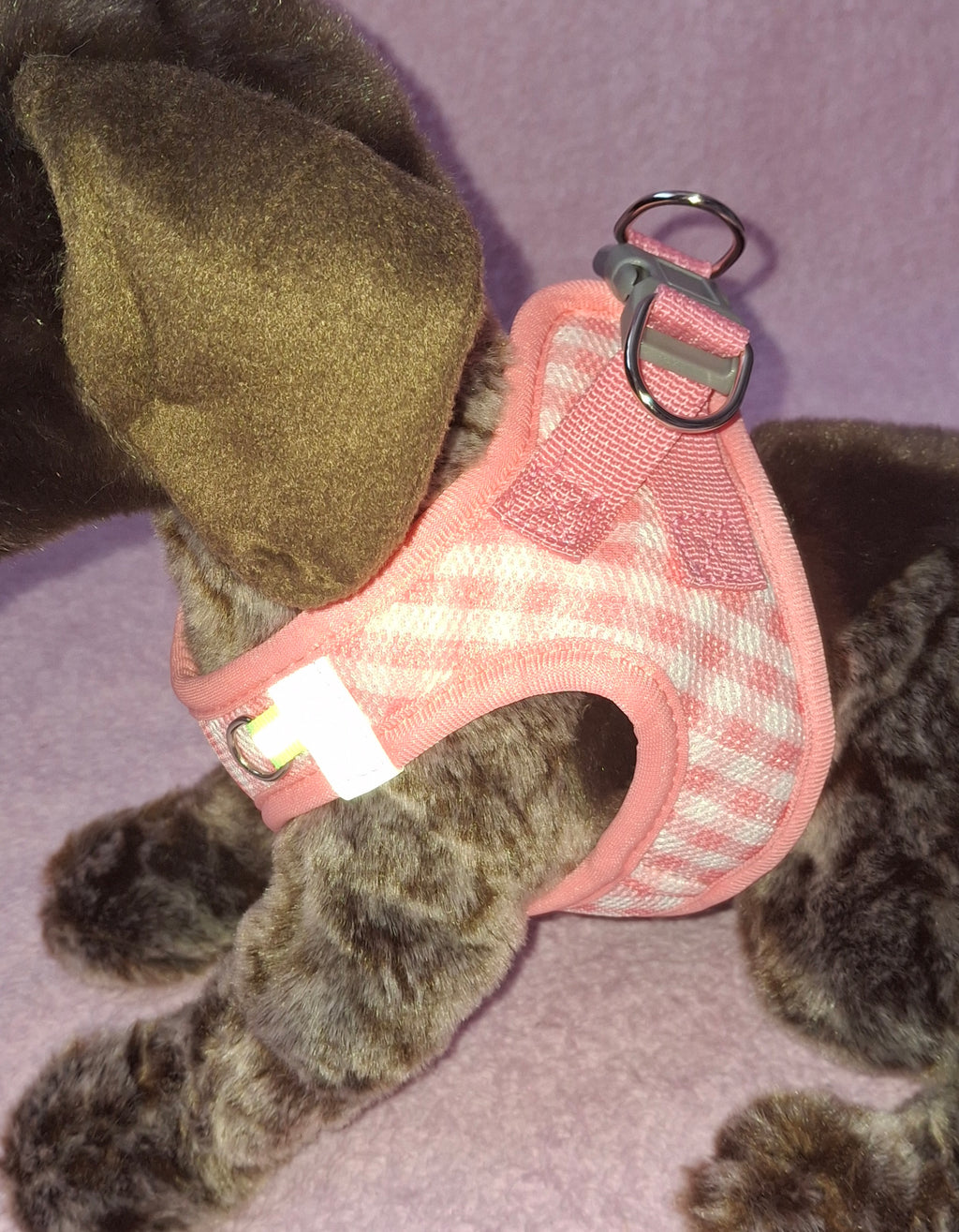 Velcro Chequered Harness
