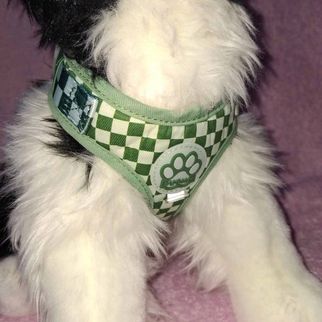 Chequered Harness