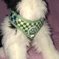 Chequered Harness