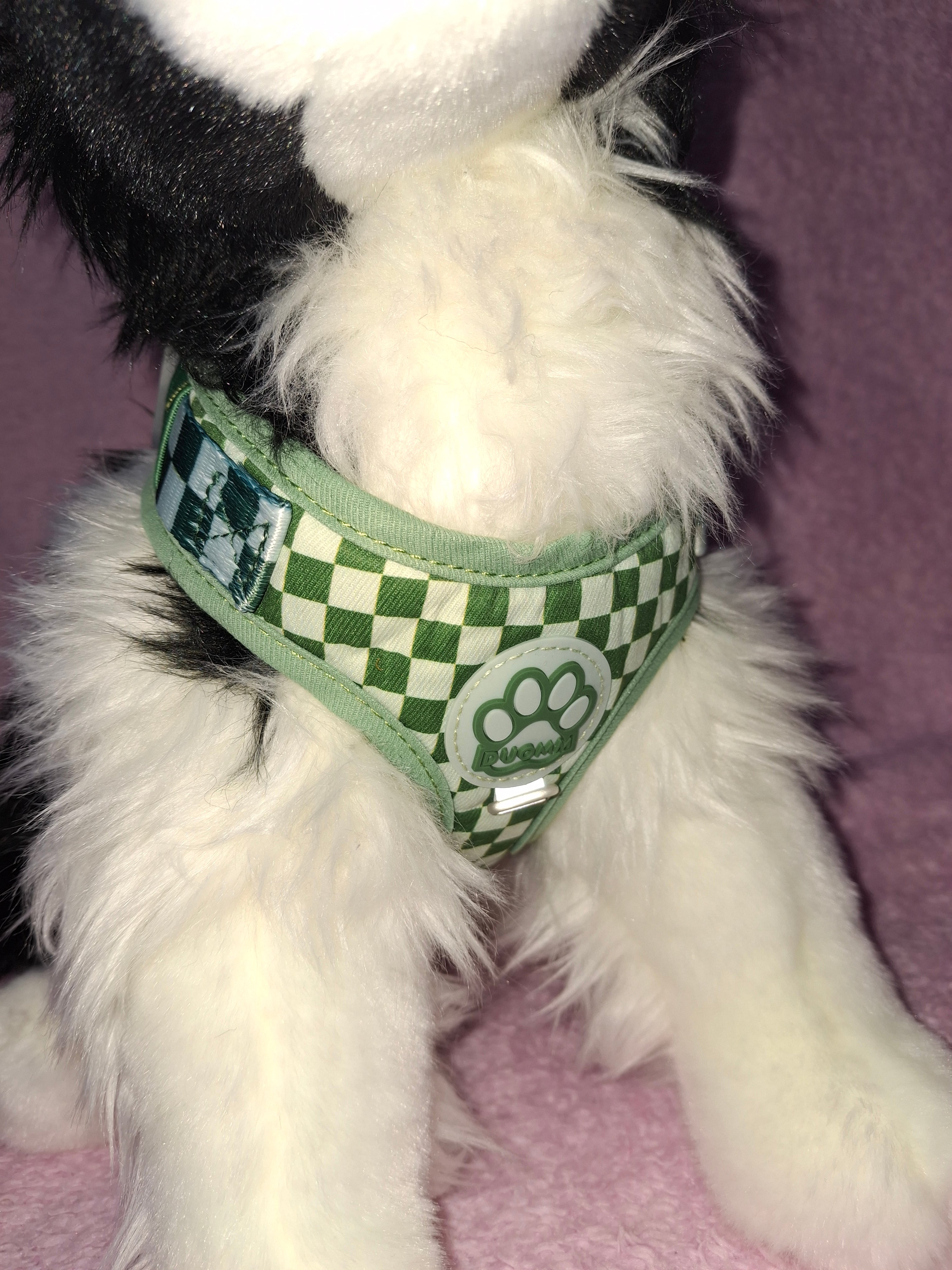 Chequered Harness
