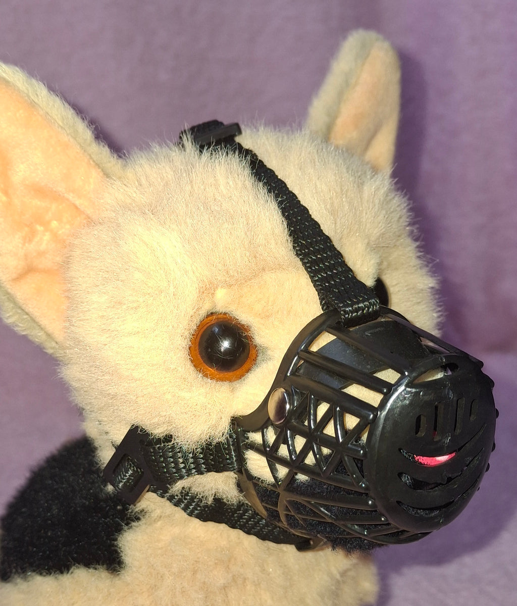 Muzzle