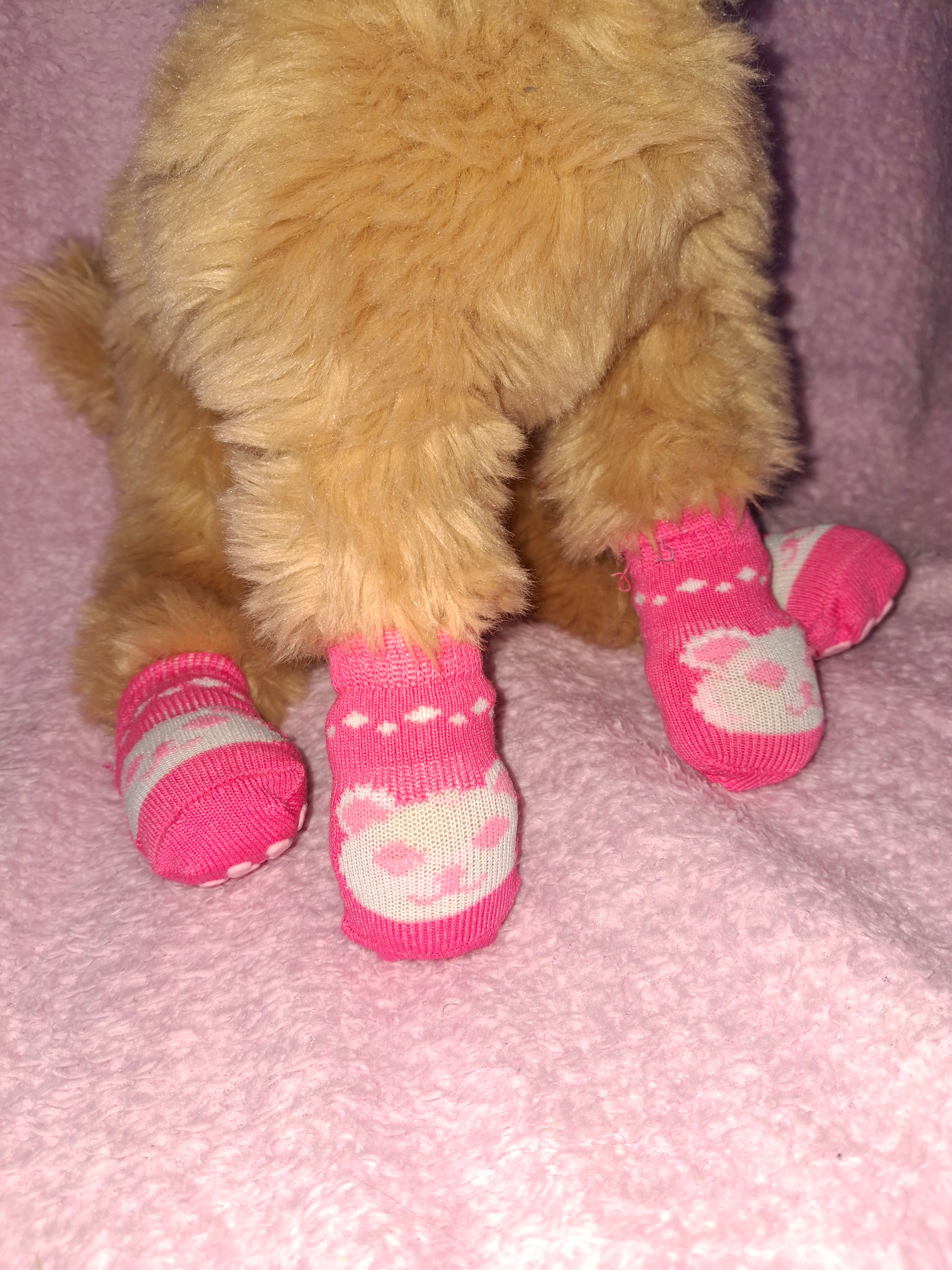 Animal Socks
