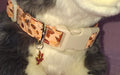 Large Dog Collars