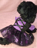 Witch Dress
