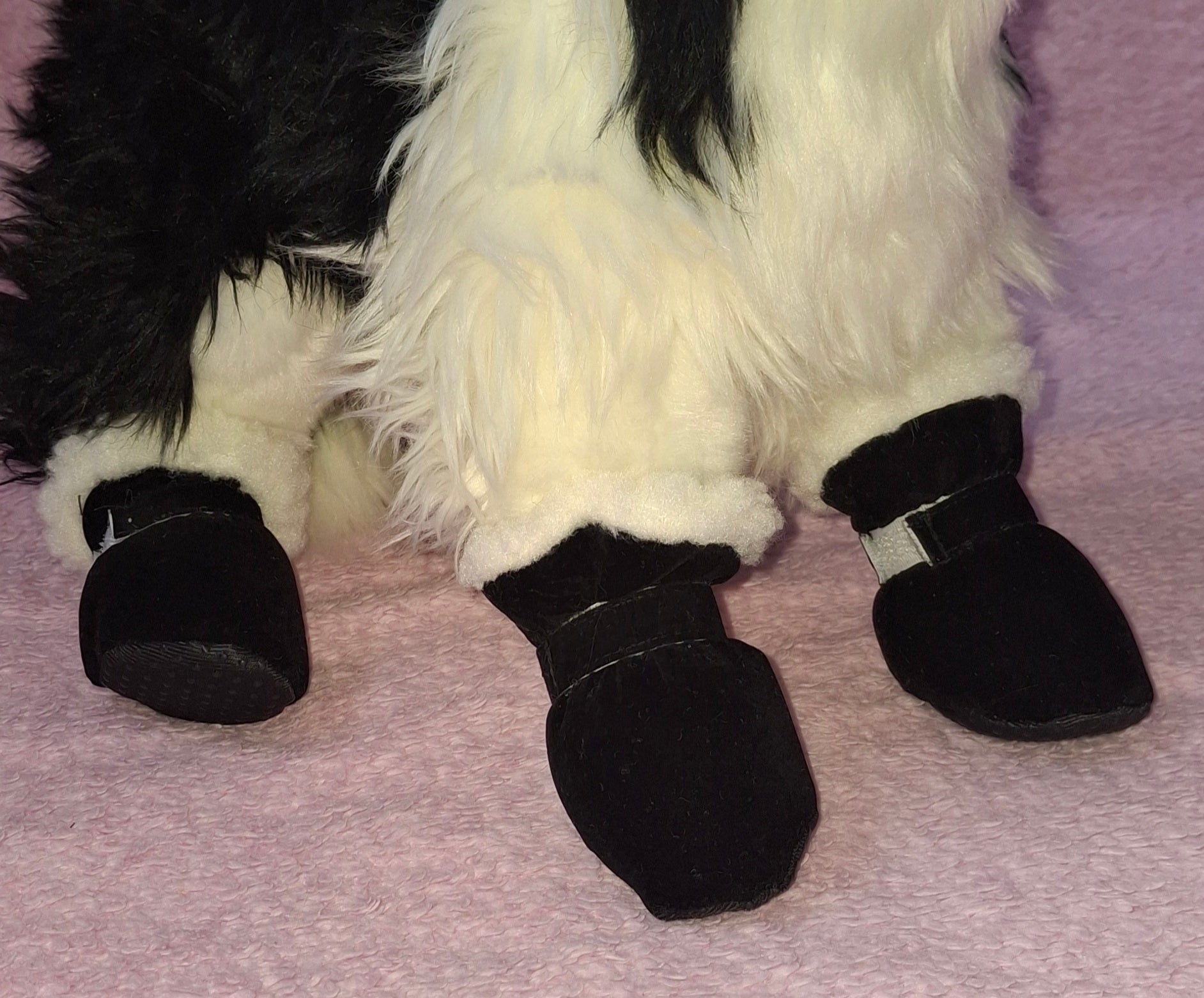 Winter Boots