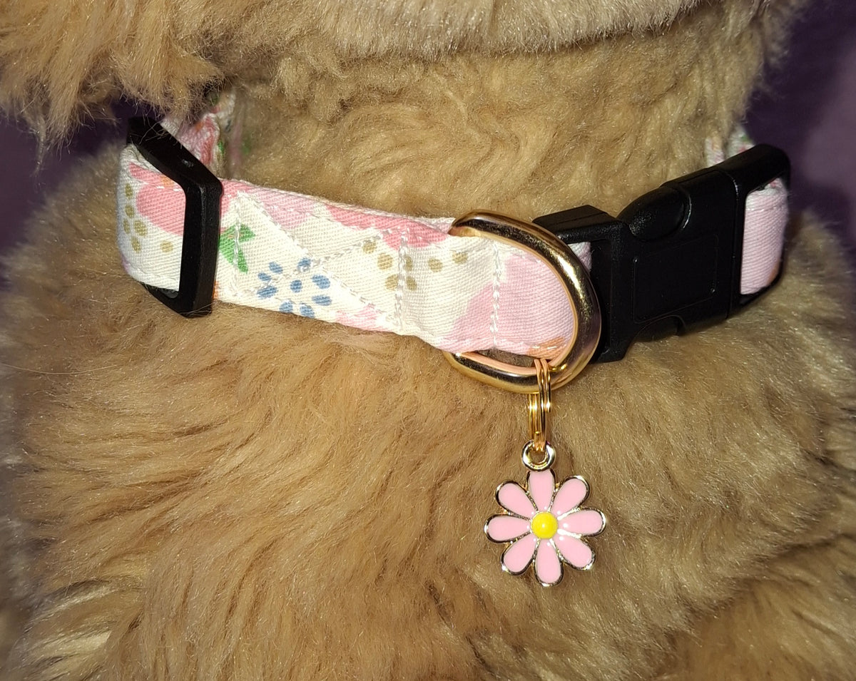 Dog Collar Variants