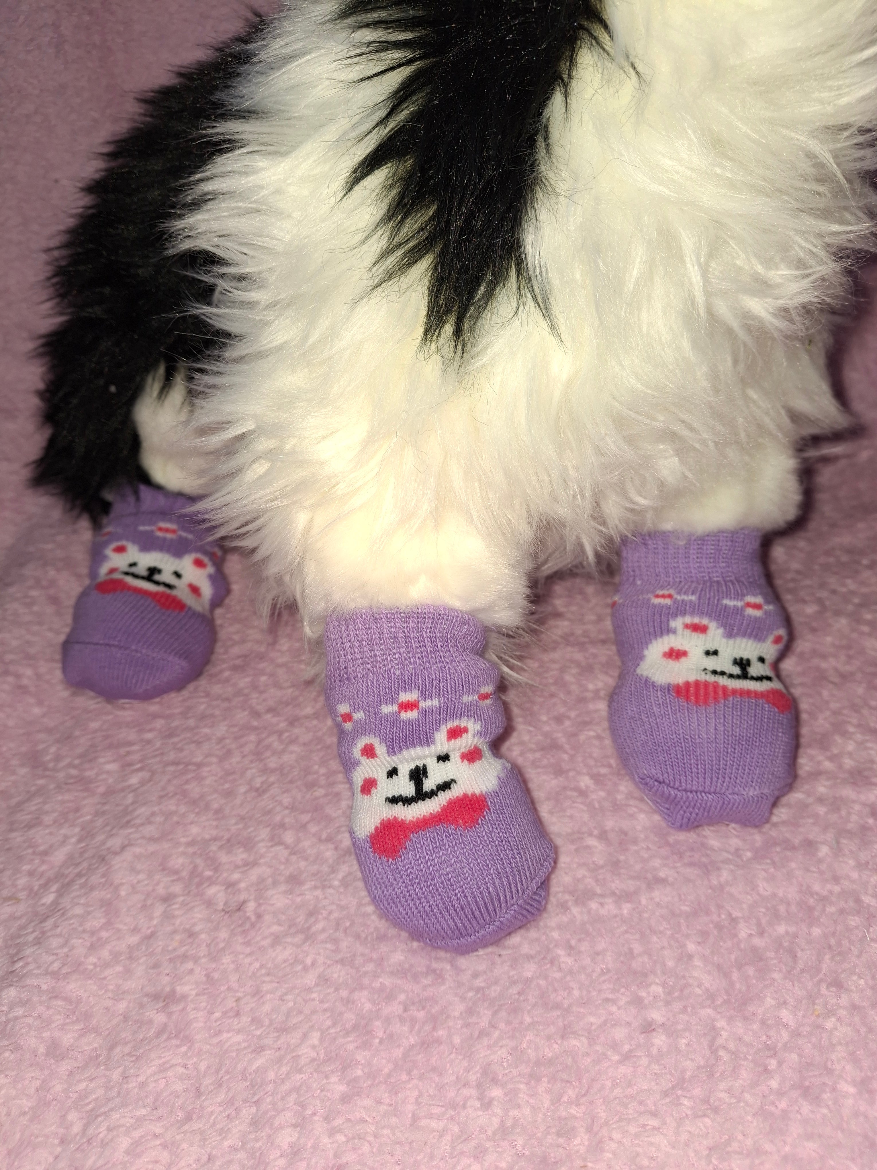 Animal Socks
