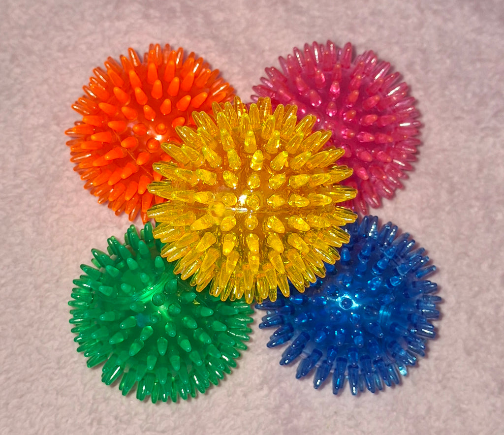 Squeaky Ball Toy