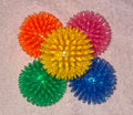Squeaky Ball Toy