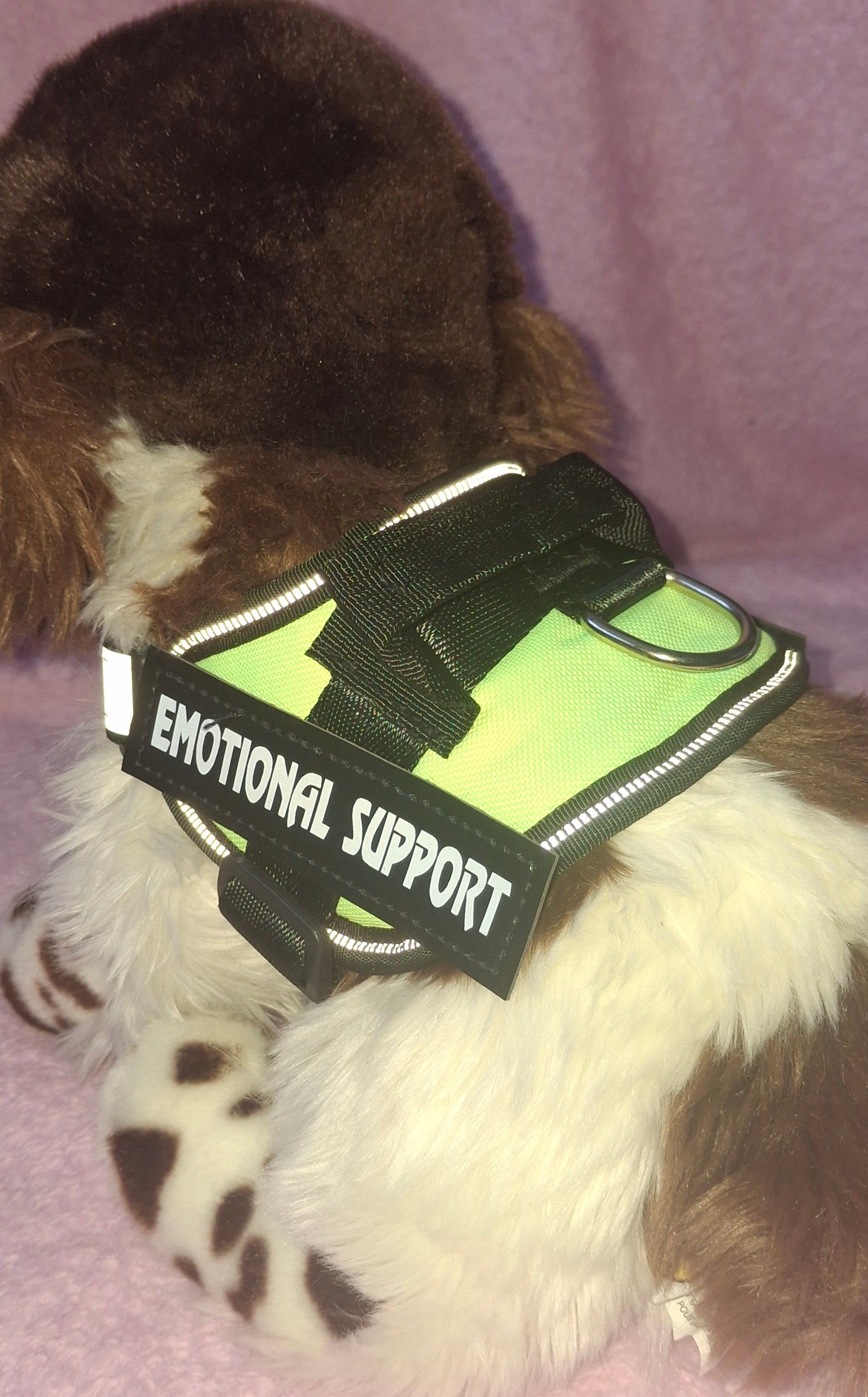 Emotional Support Vest