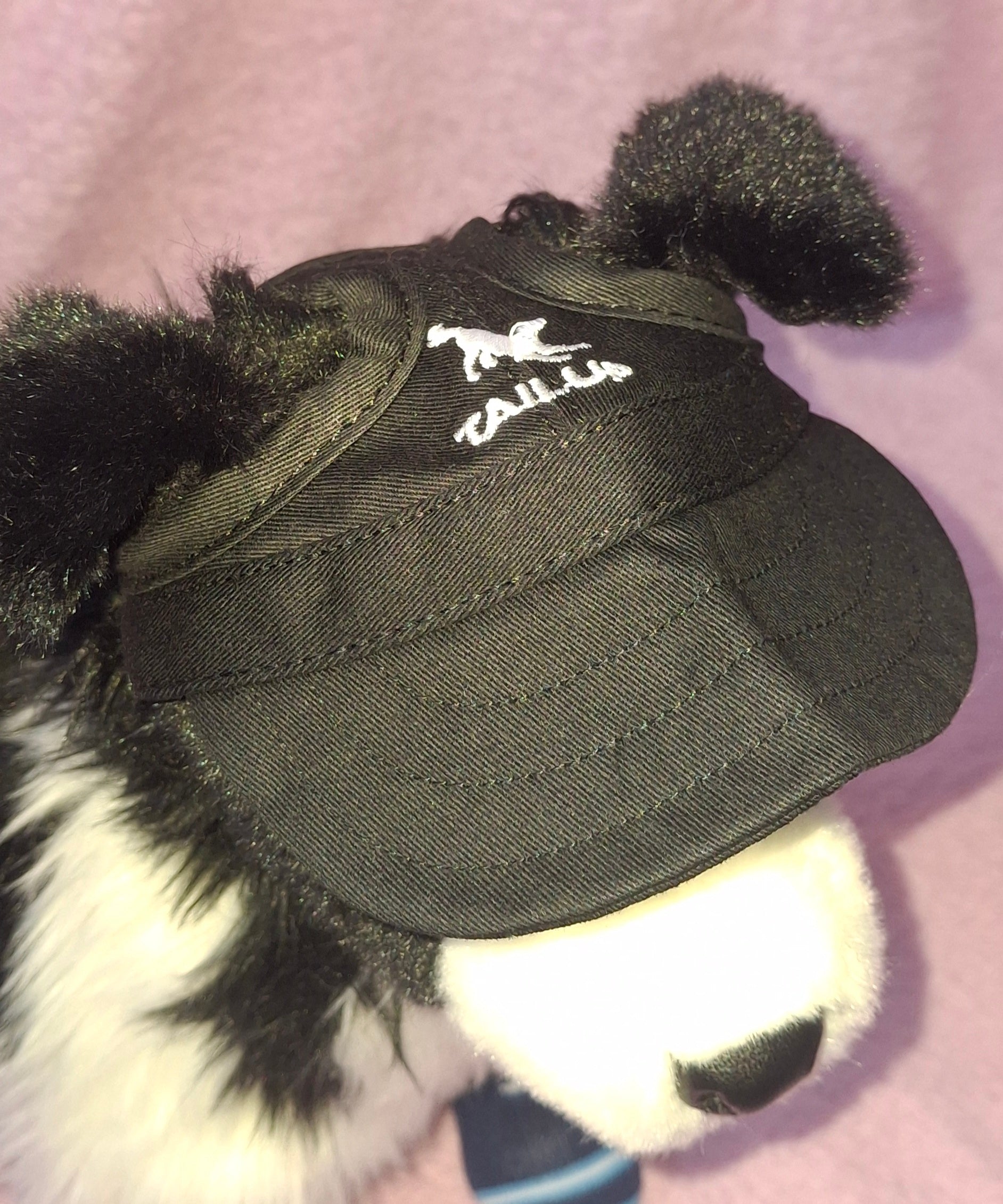 Suncaps