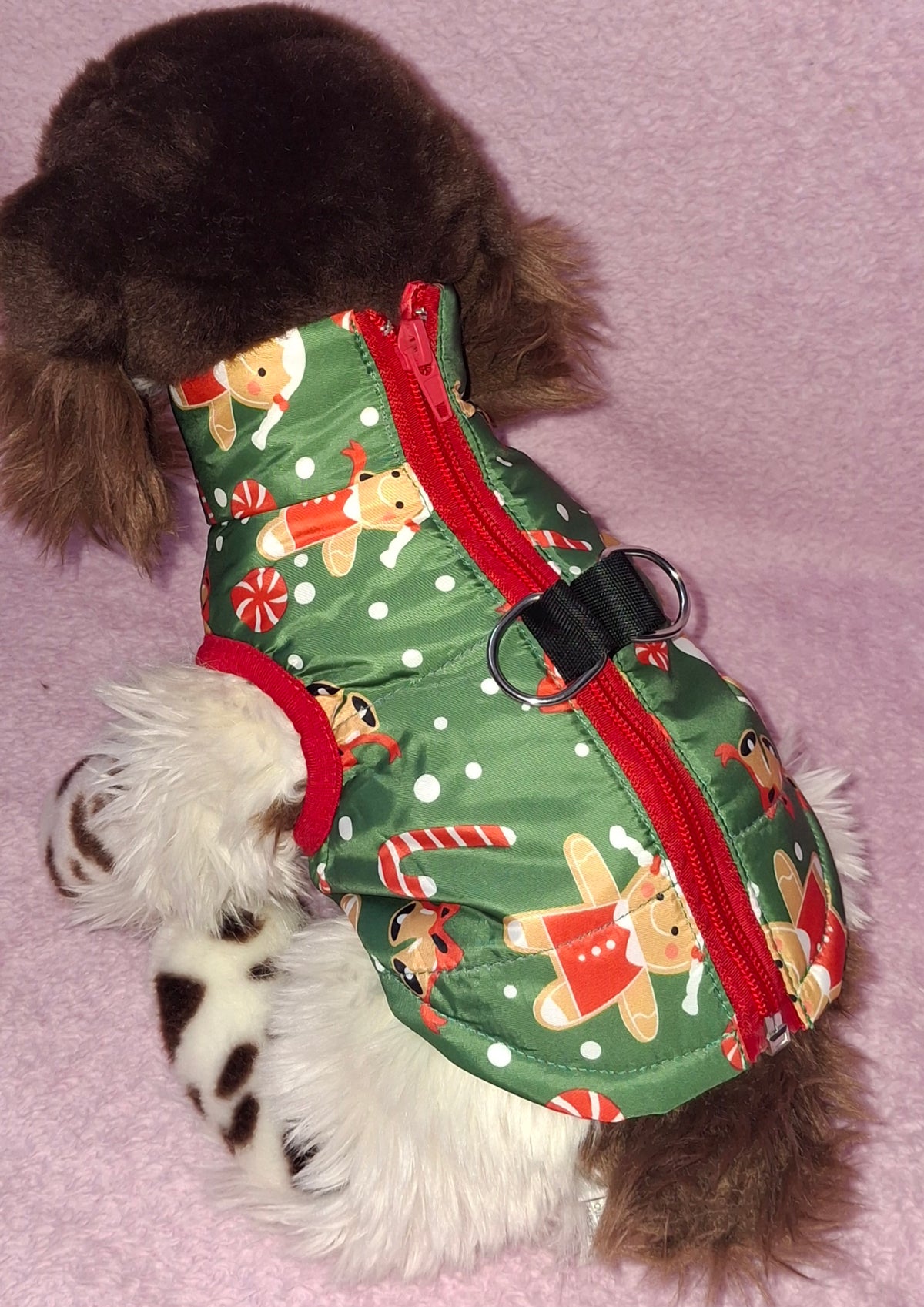 Christmas Coat