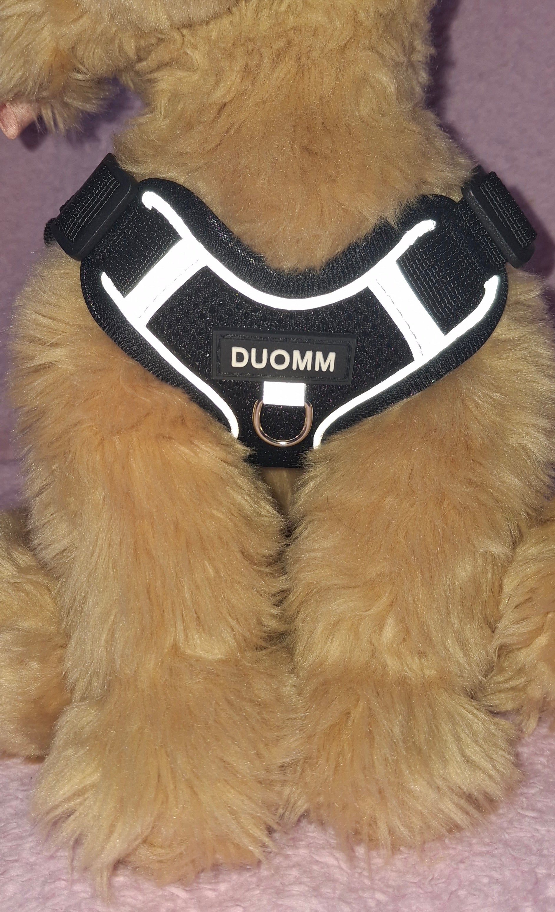 Reflective Harness