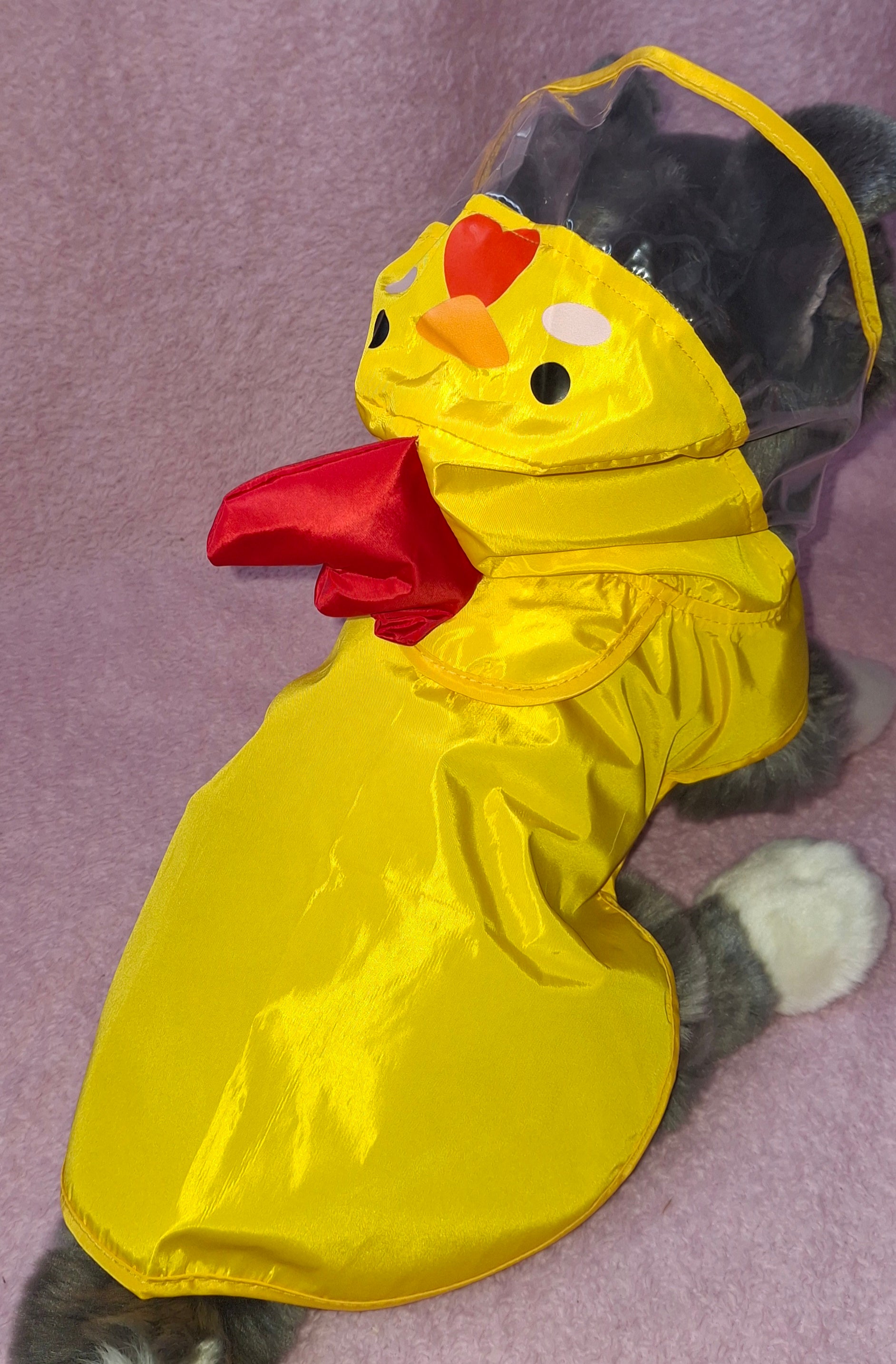 Animal Raincoat