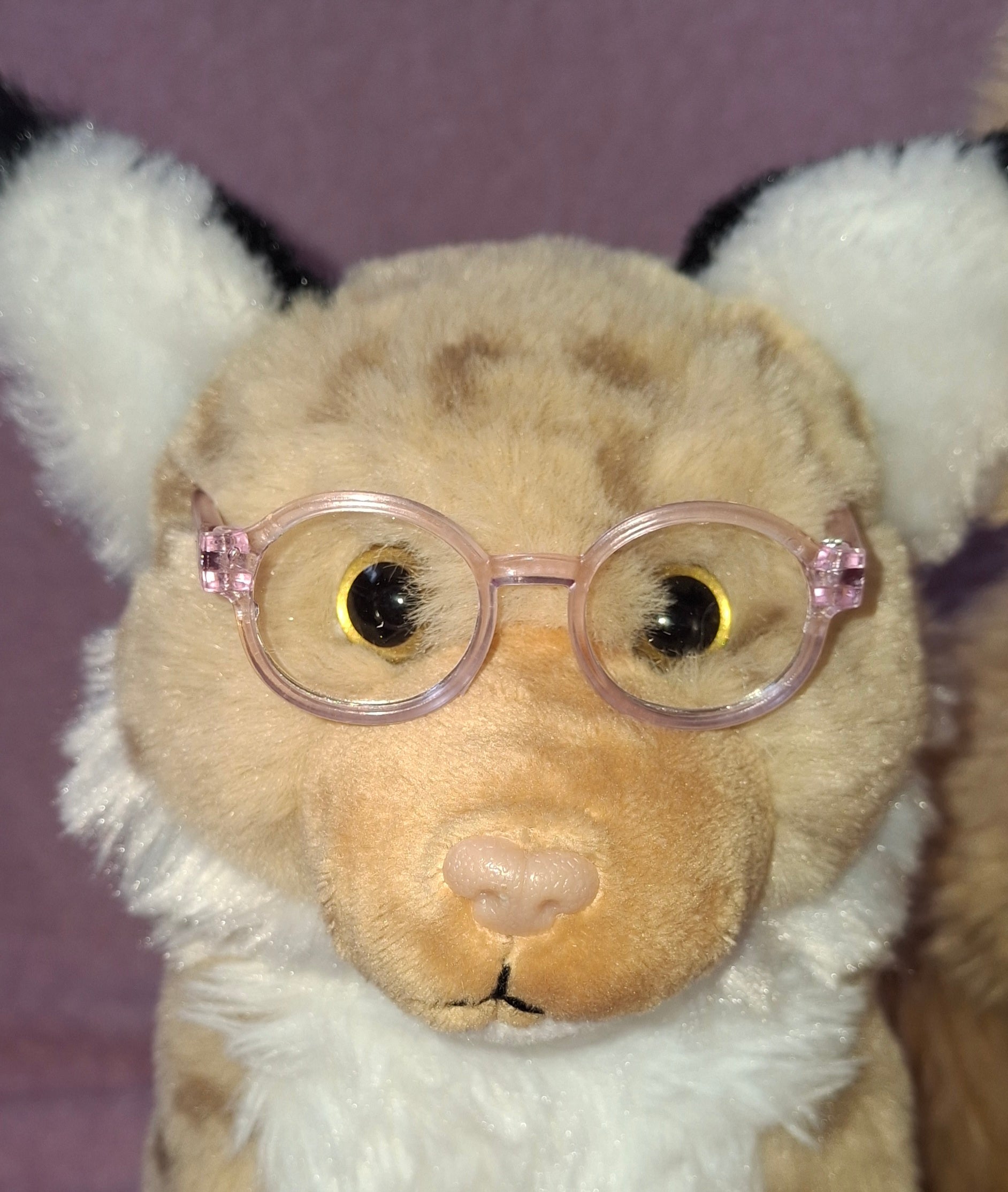 Small Glasses