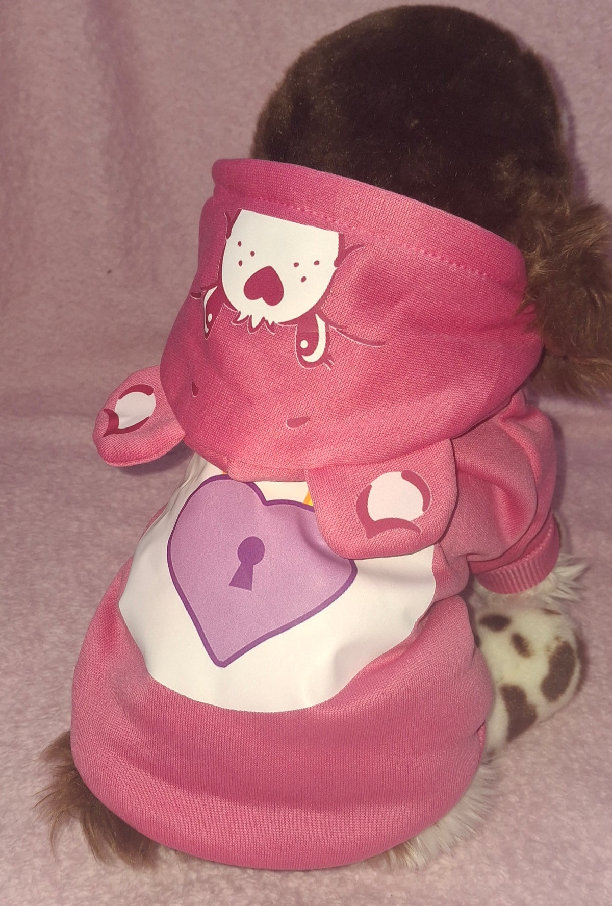 Care Bear Hoodies Variant 2