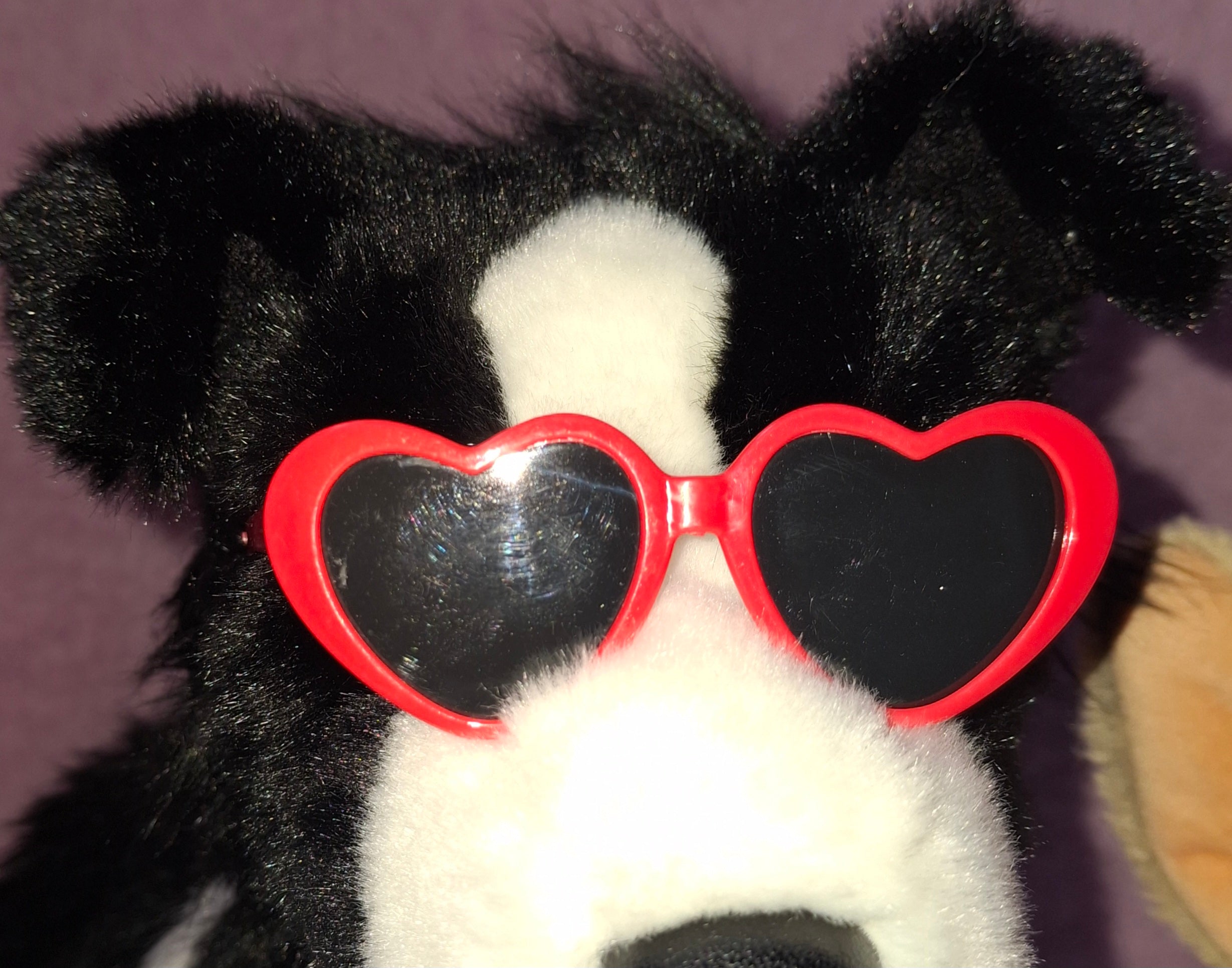 Heart Sunglasses